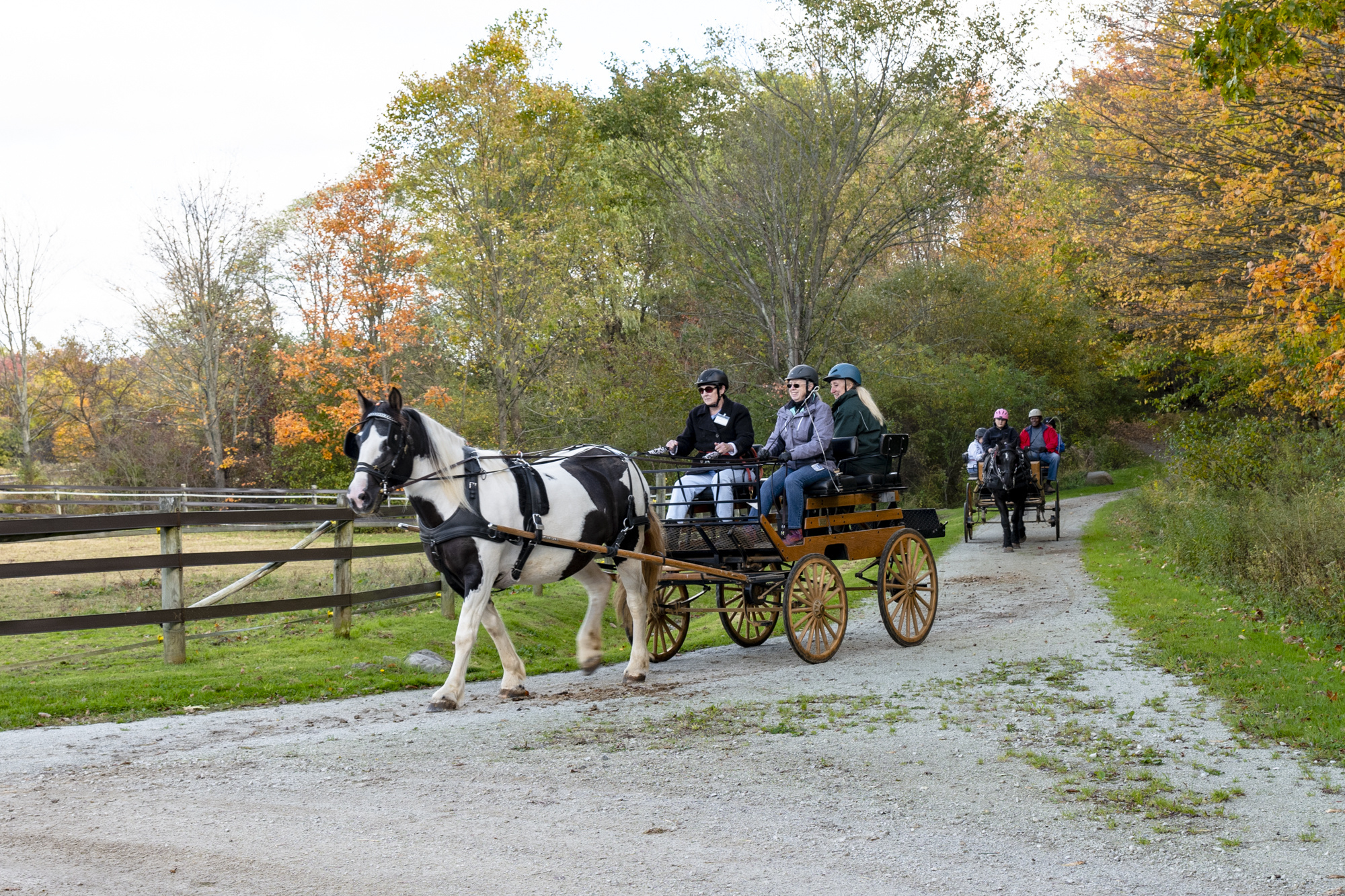 Carriage Driving, Volunteer fieldstone farm, Therapeutic riding, Sports, 2000x1340 HD Desktop