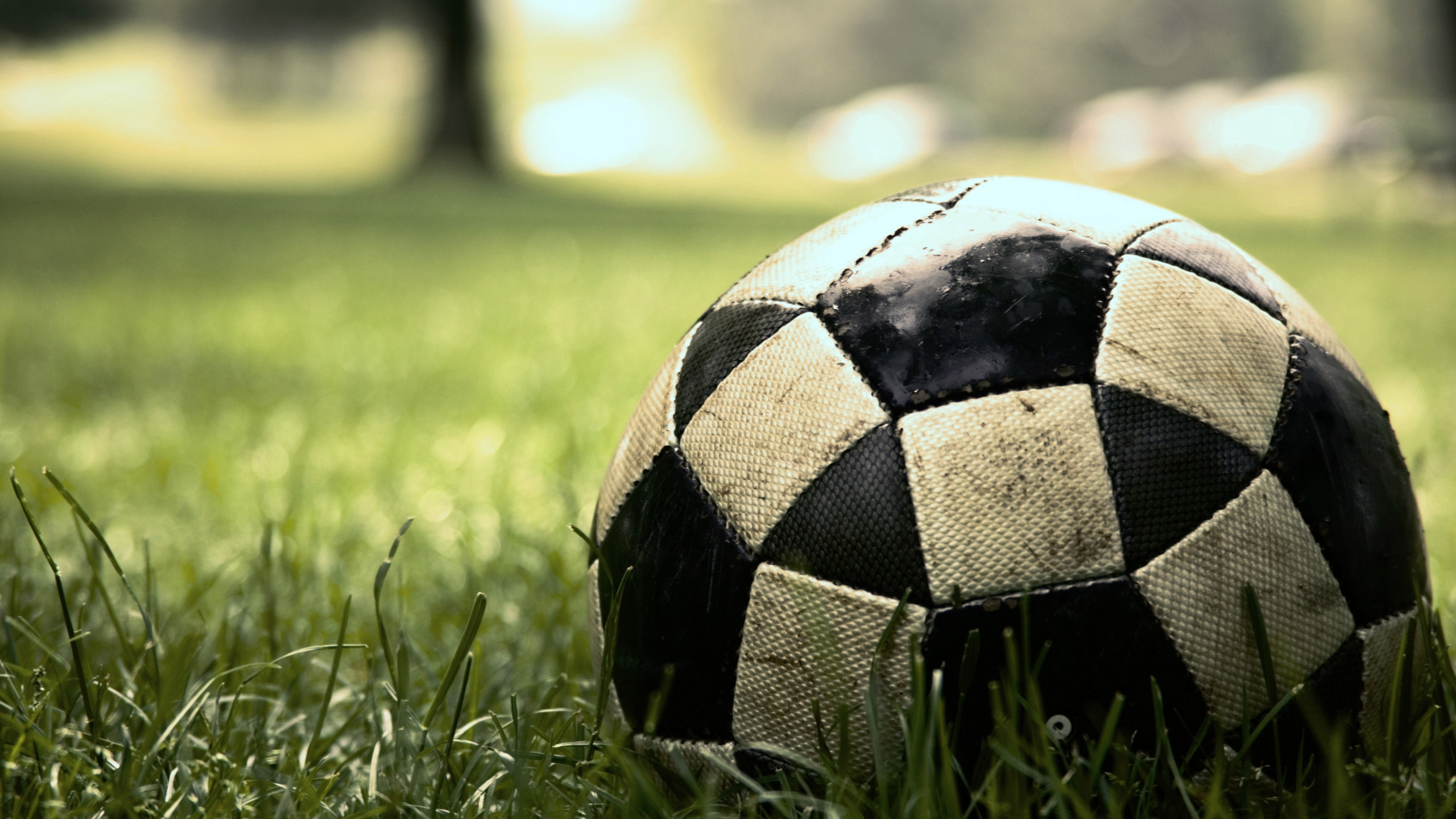 Grass, Macro, Lawn, Football, 2560x1440 HD Desktop