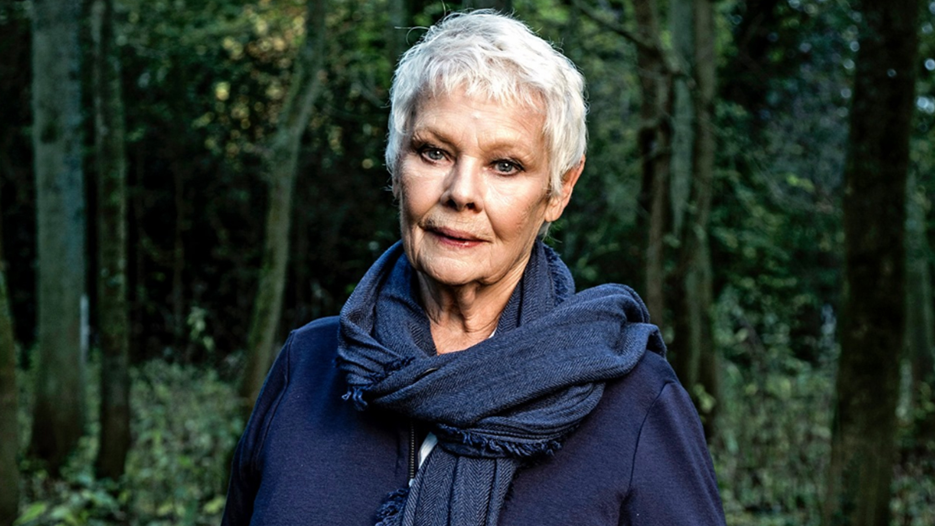 Judi Dench, Movies, Virtual reality, PCGamesN, 1920x1080 Full HD Desktop