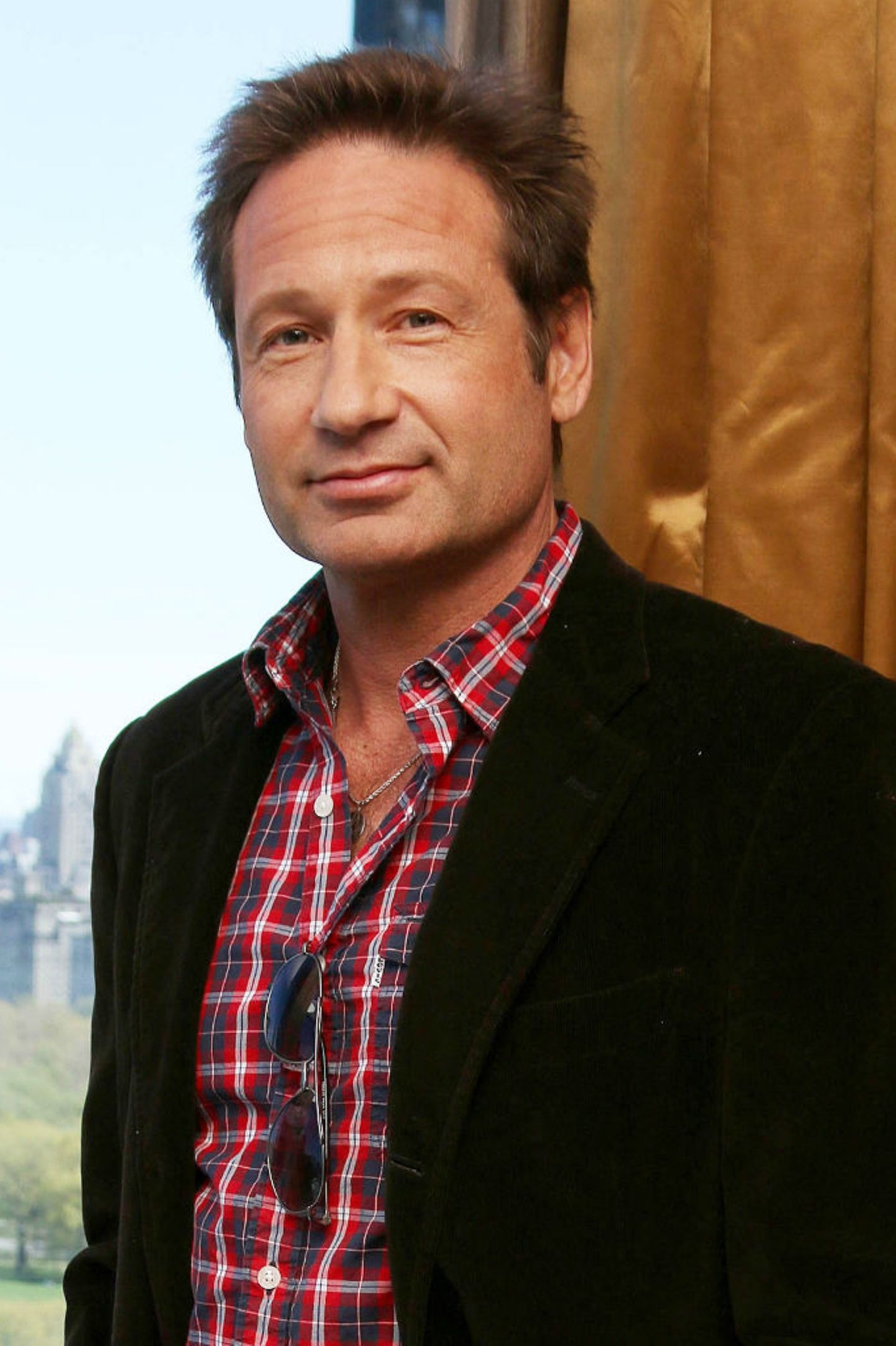 David Duchovny, Secret divorce, Celebrity news, 1440x2170 HD Phone