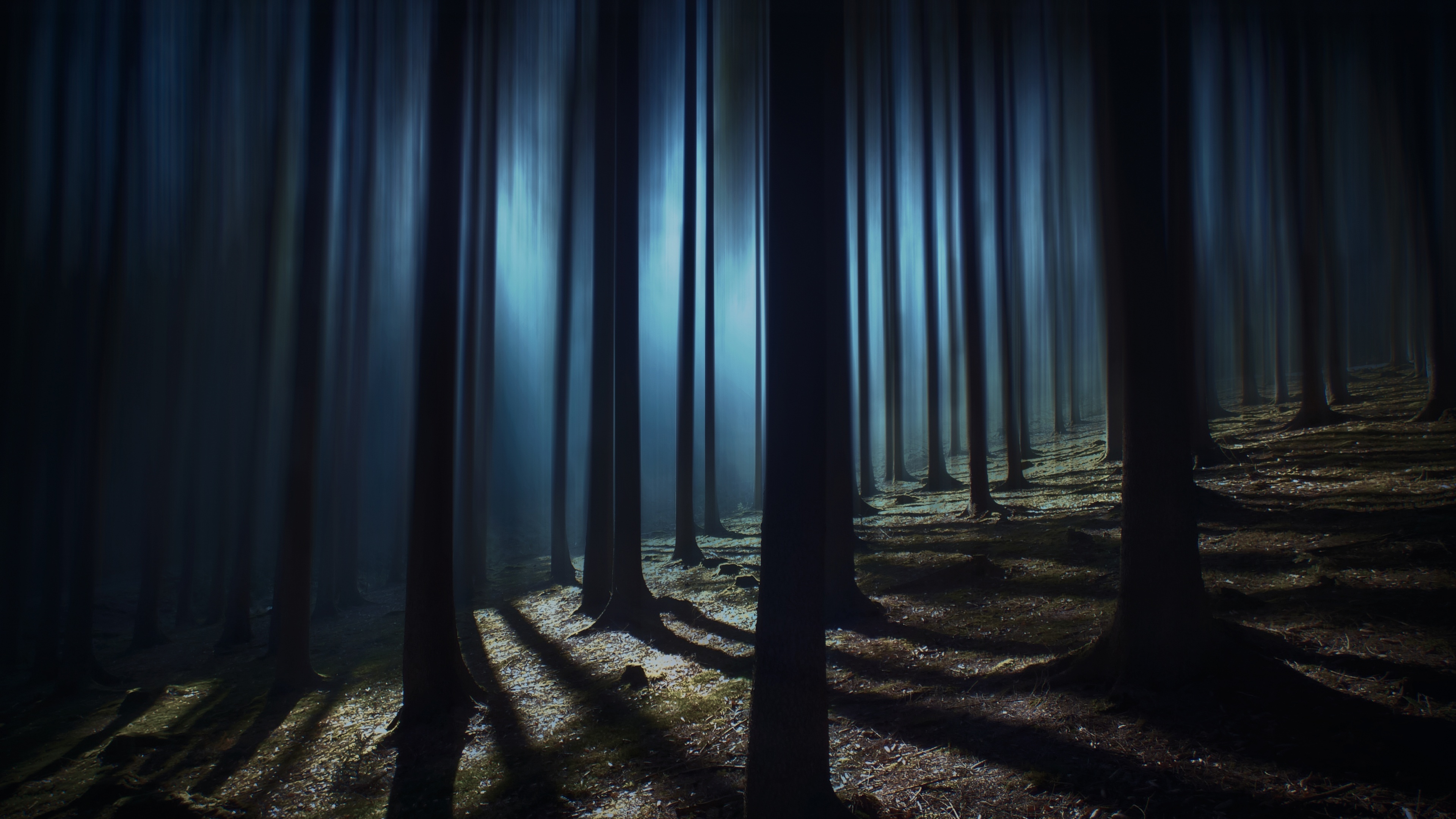 silhouetted tree trunks, moonlit forest floor shadows, eerie blue misty forest, 4K Desktop wallpaper