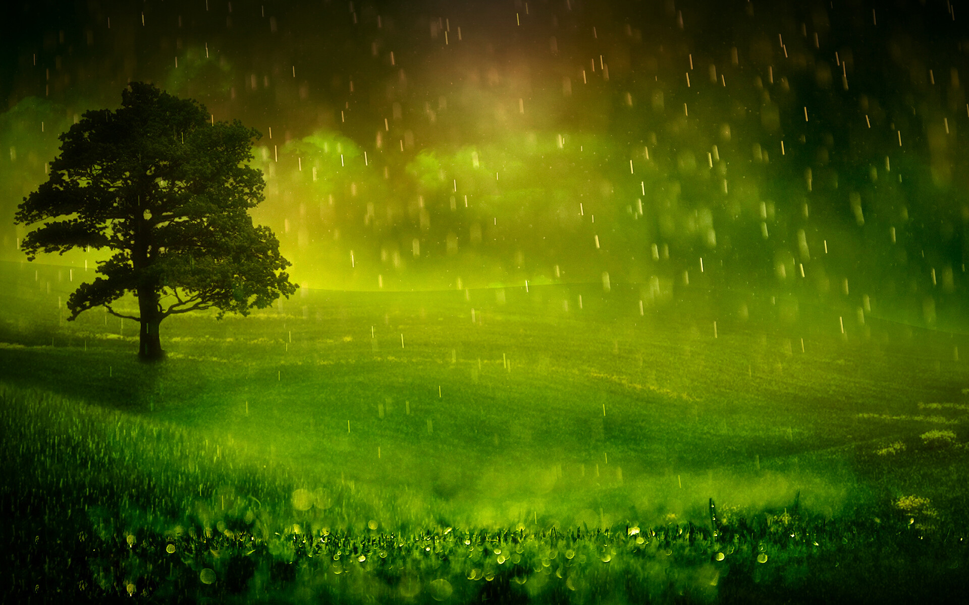 Rainy moments, Atmospheric beauty, HD rain wallpaper, Mesmerizing droplets, 1920x1200 HD Desktop