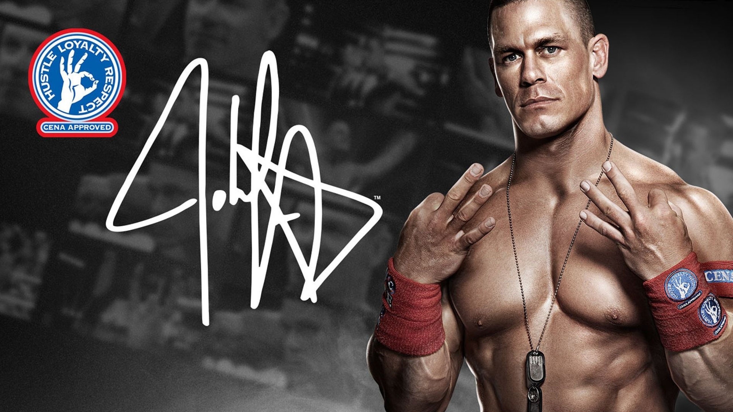 John Cena, Combat Sports Wallpaper, 2560x1440 HD Desktop