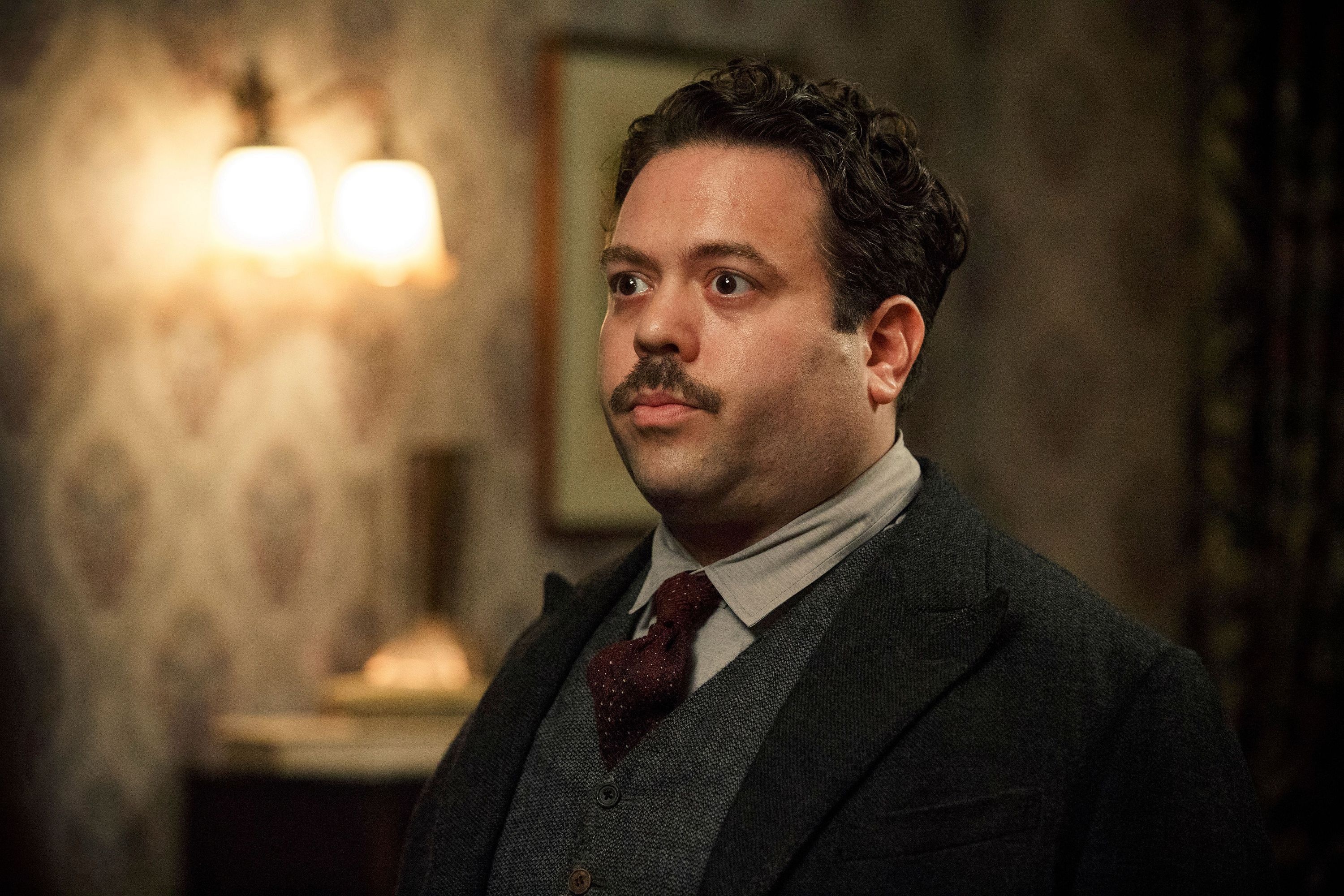 Dan Fogler, Fantastic Beasts 3, 3000x2000 HD Desktop