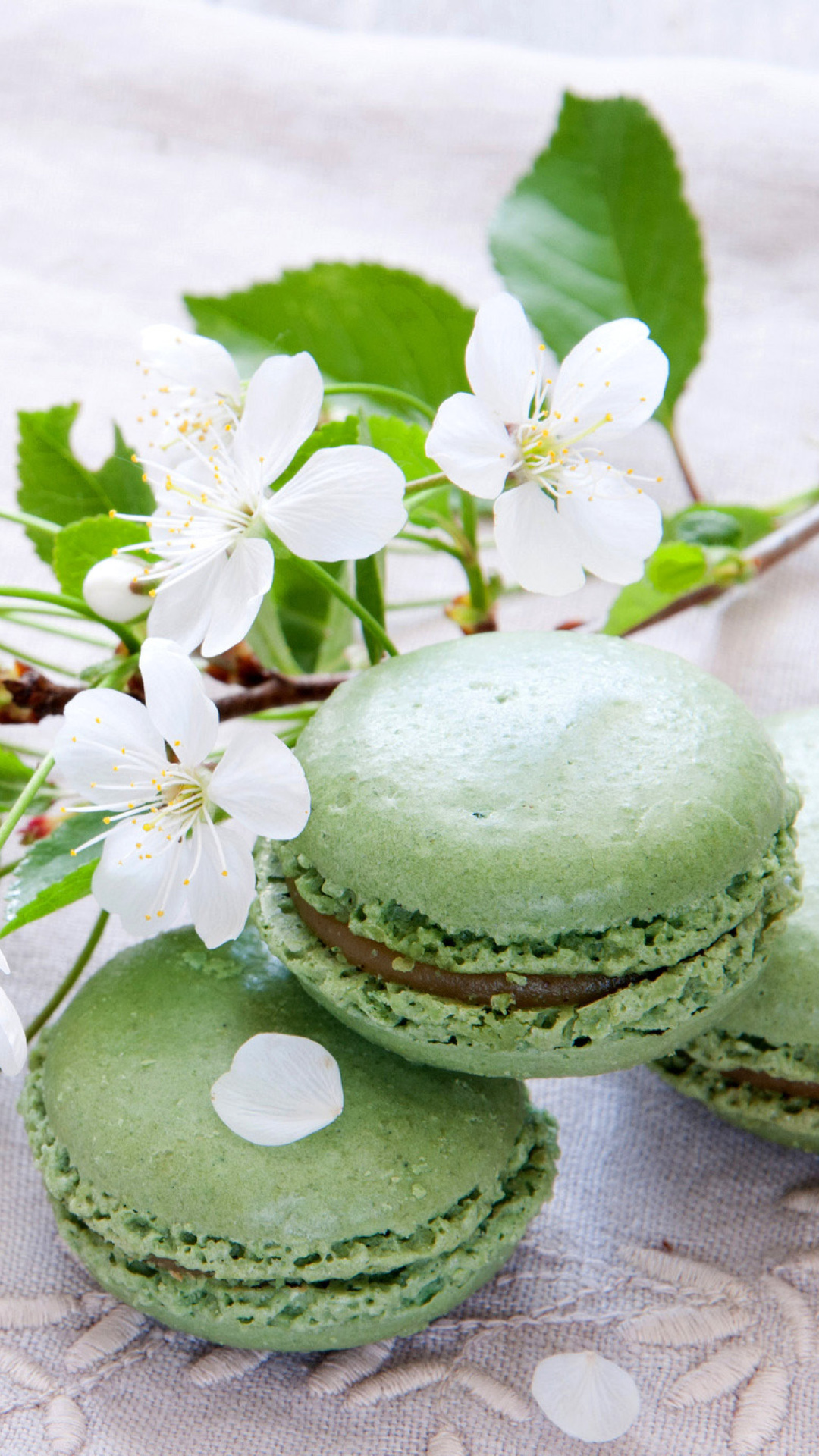 Pistachio macaron wallpaper, iPhone 6 plus, Nutty and sweet, French pastry, 1080x1920 Full HD Phone