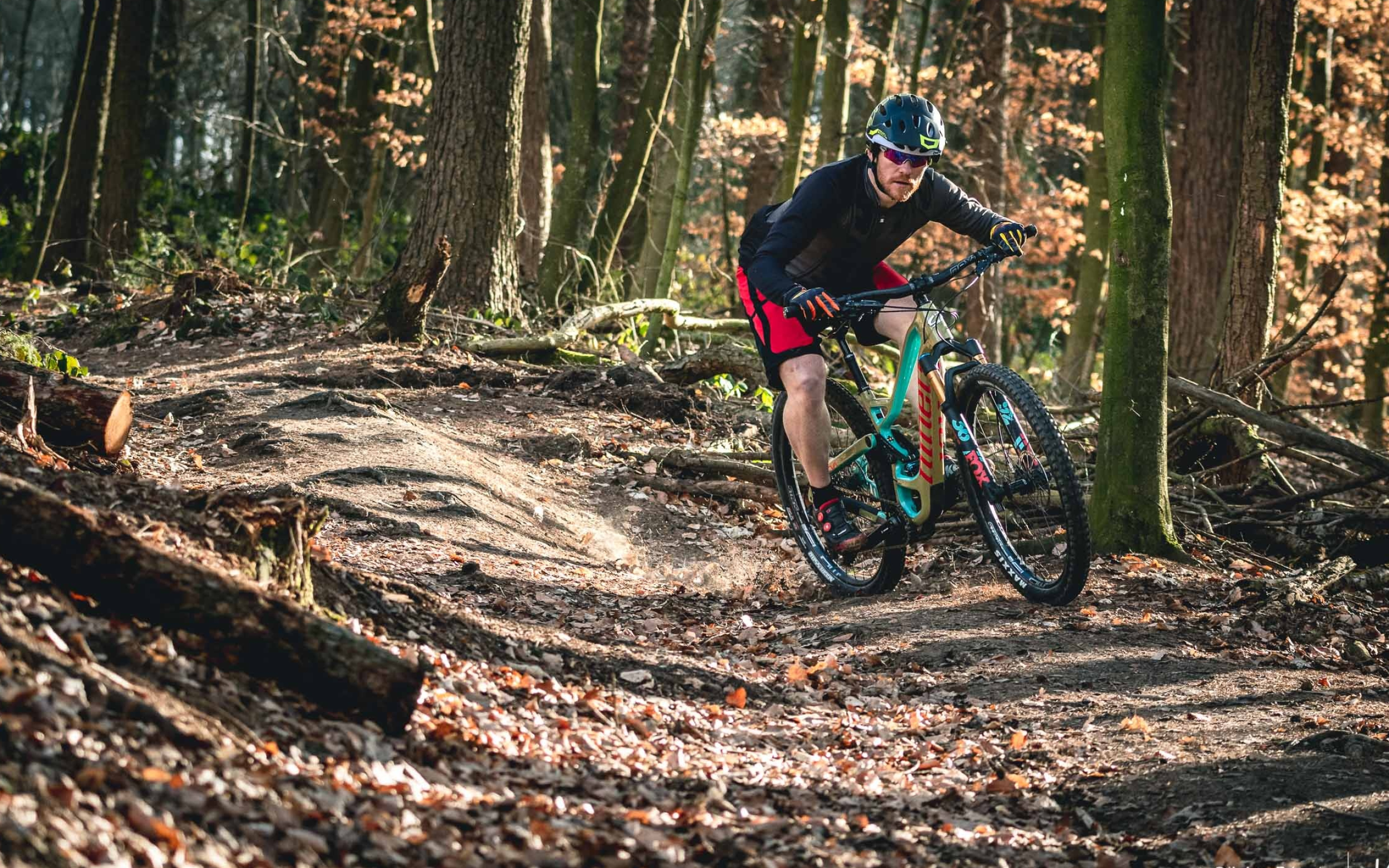 Niner Bikes, Niner RIP9 RDO review, Double renaissance, Vojo Magazine, 2500x1570 HD Desktop