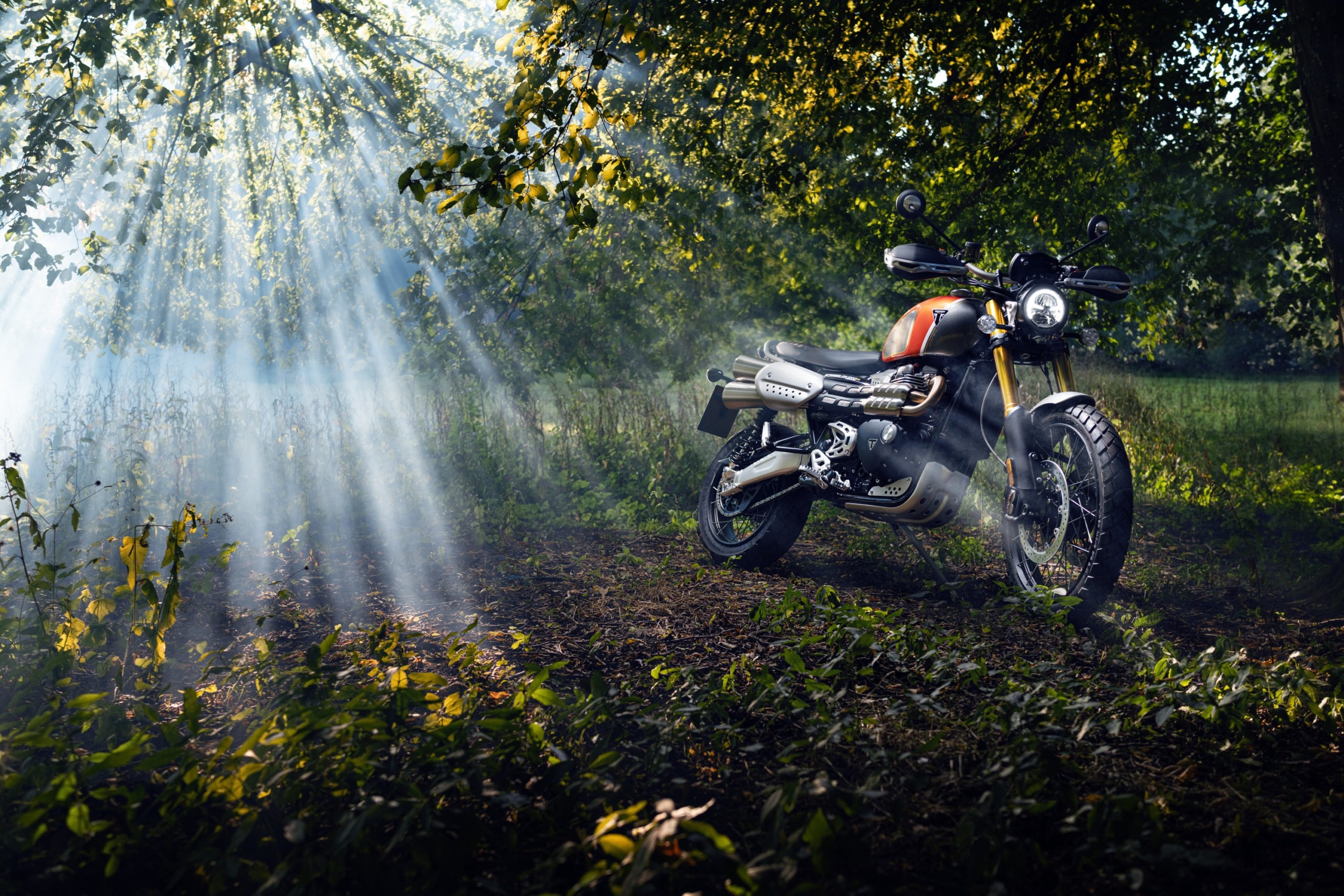 Triumph Scrambler 1200, Auto, Gold line edition, Roll in gold, 2560x1710 HD Desktop