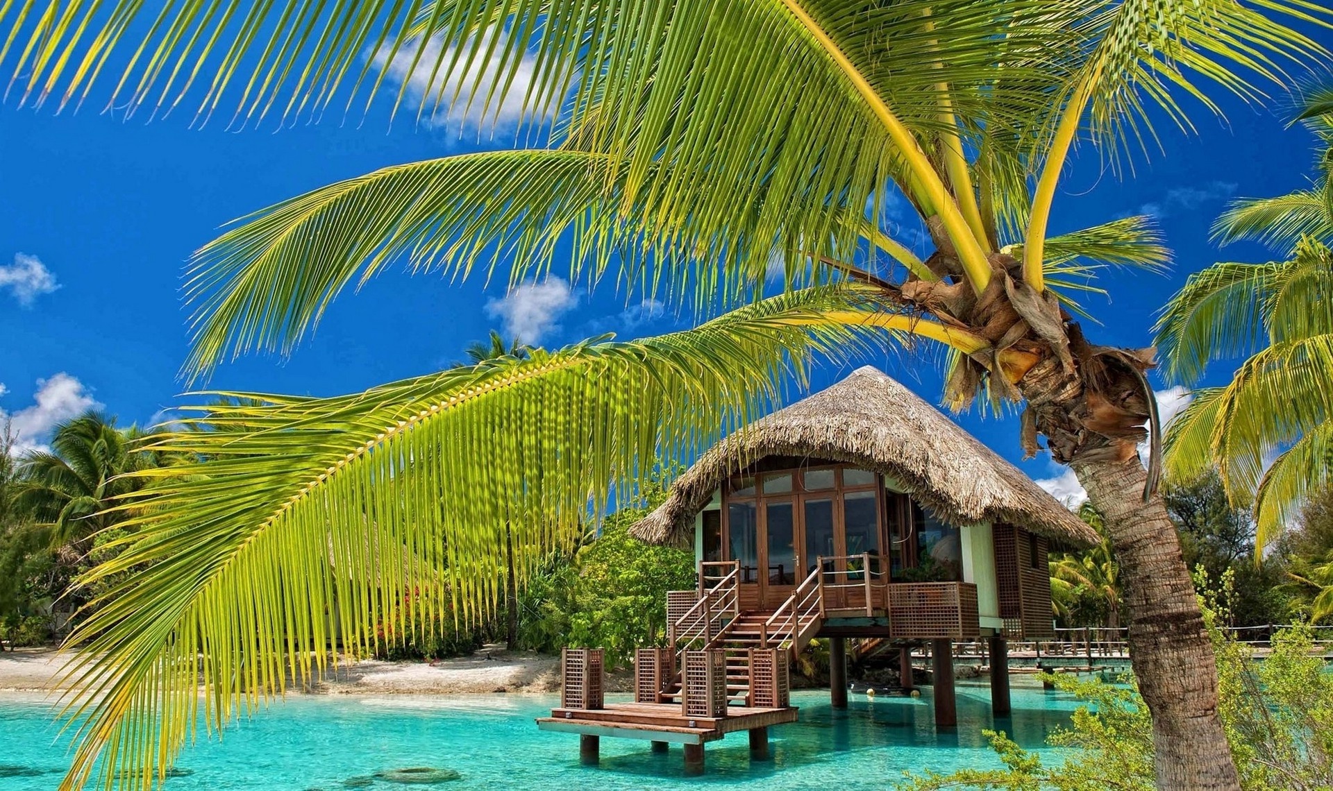 Travelling to bungalows, Beach bungalow, Palm trees, Tropical water views, 1920x1140 HD Desktop