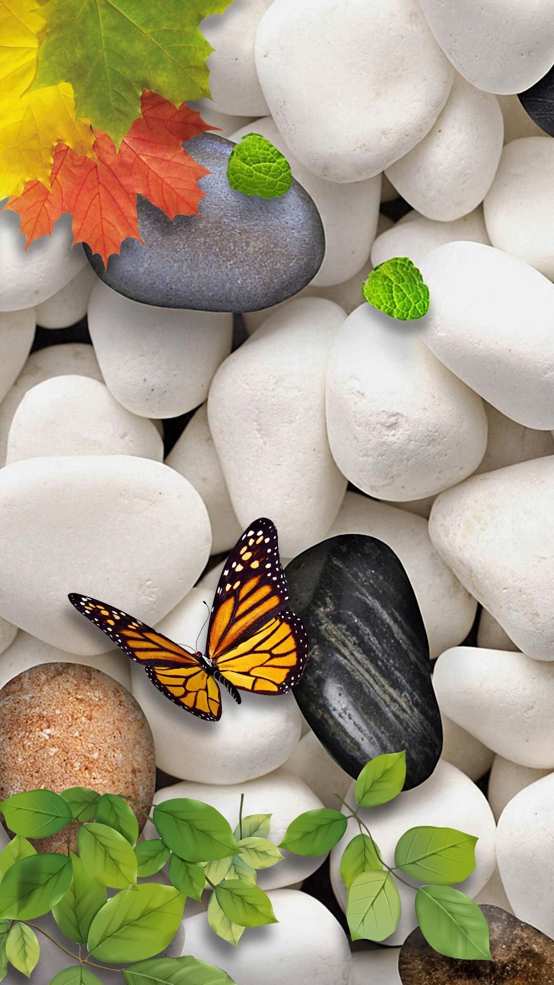 Butterfly, Stone Wallpaper, 1080x1920 Full HD Phone