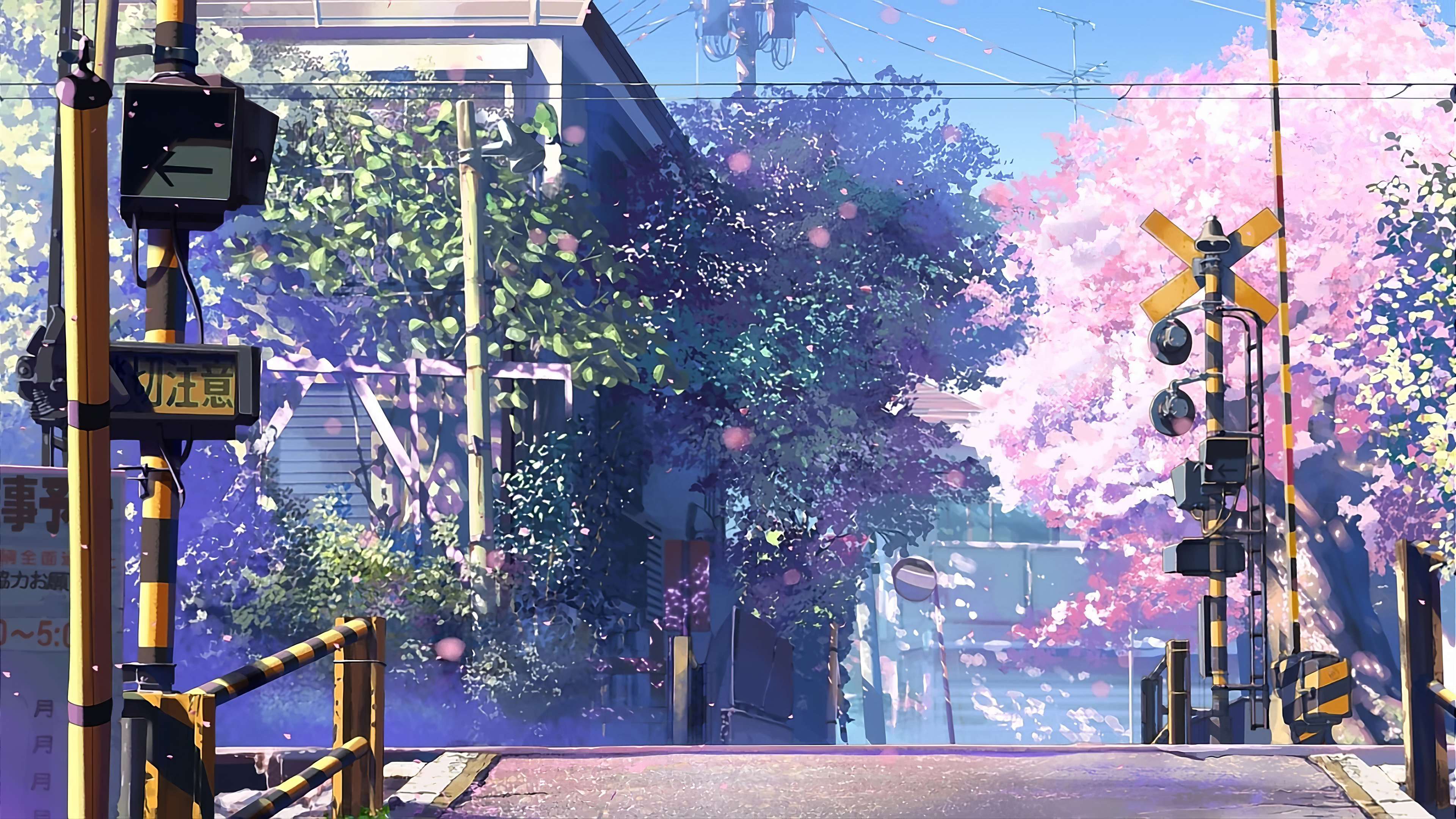 5 Centimeters per Second railway crossing, Japanese railroad crossing signal, Falling sakura petals, 4K Desktop wallpaper