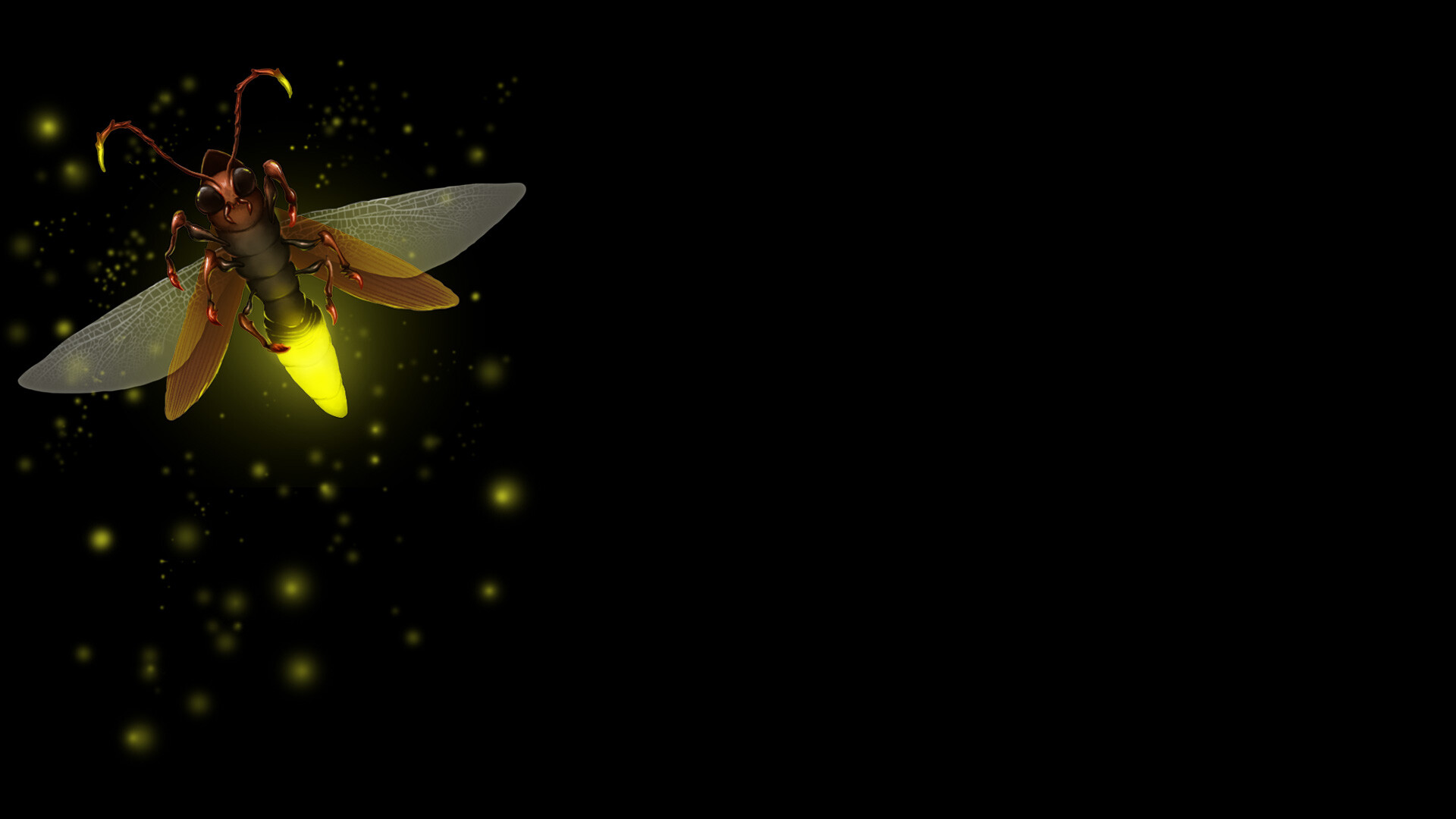 Artwork, Firefly (Insect) Wallpaper, 1920x1080 Full HD Desktop