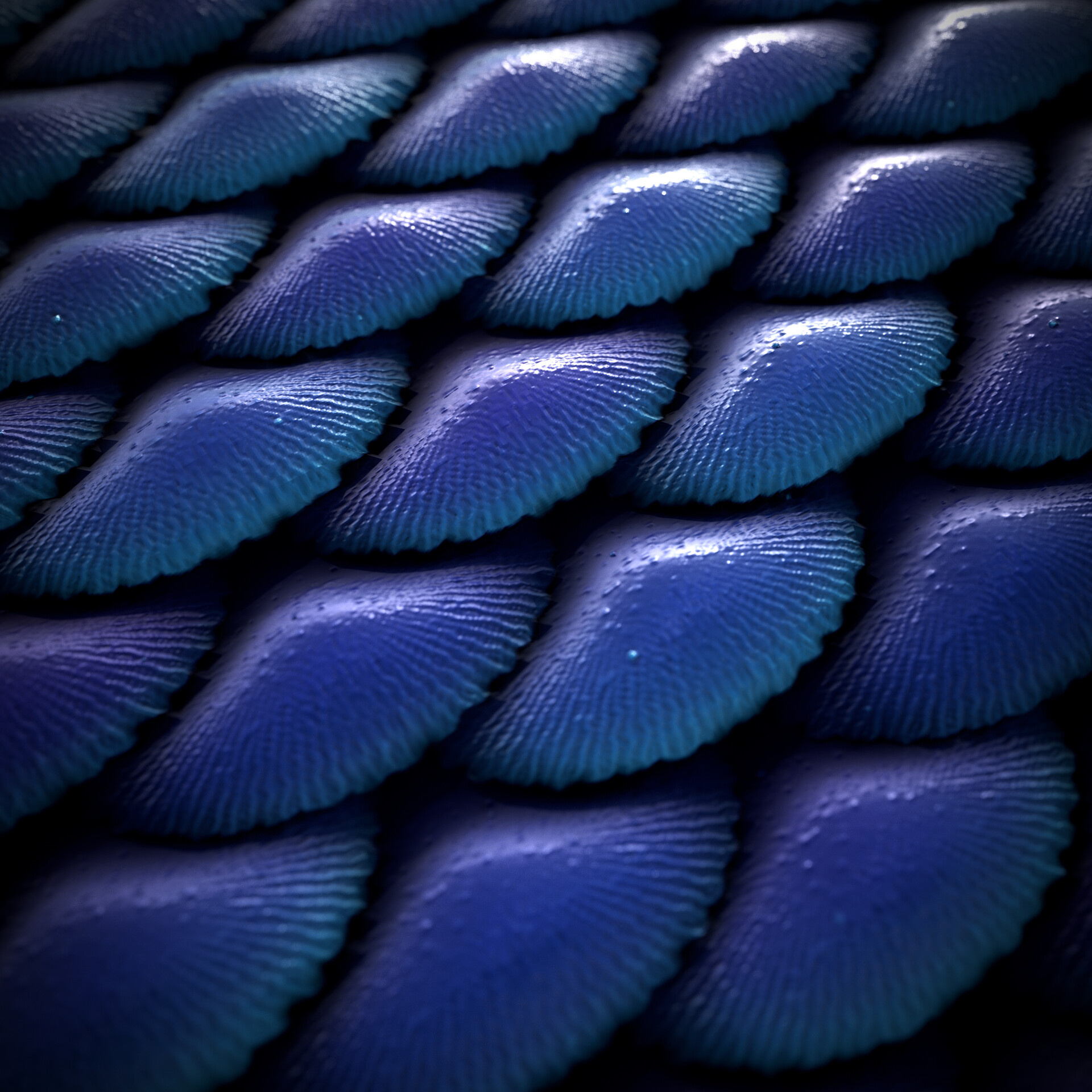 Ana Catarina Pinheiro, Mermaid scales artwork, Creative expression, Stunning visuals, 1920x1920 HD Phone