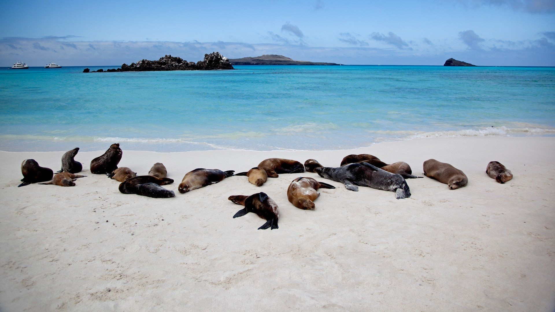 Galapagos Islands, Top free backgrounds, Wallpaper, 1920x1080 Full HD Desktop