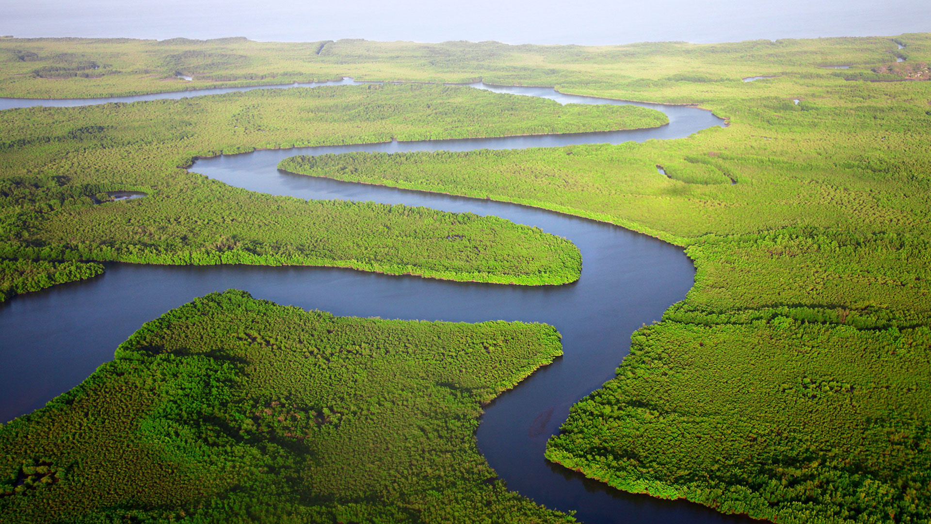 Gambia Travels, Meeting Point International, Destination management, African expertise, 1920x1080 Full HD Desktop