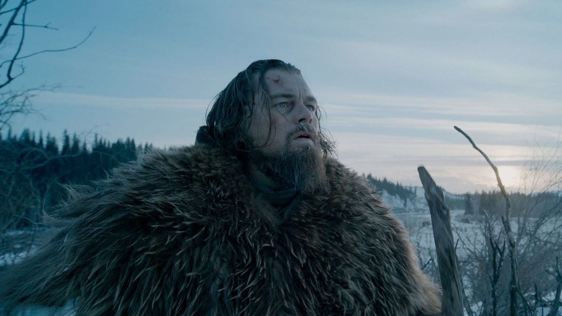 The Revenant, Gripping drama, Harsh wilderness, Survival tale, 1920x1080 Full HD Desktop