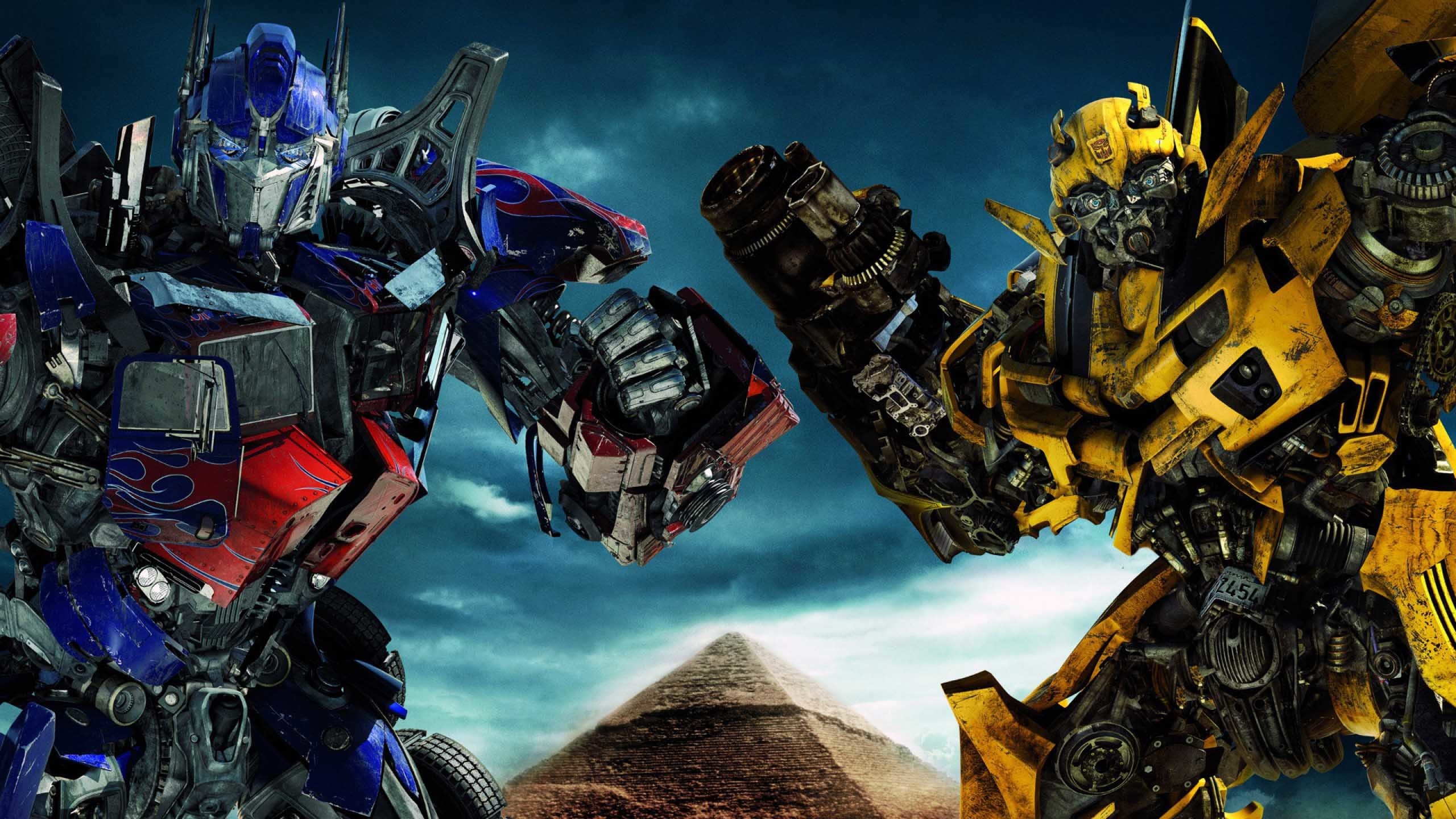 Bumblebee wallpaper, Michelle Cunningham, 2560x1440 HD Desktop