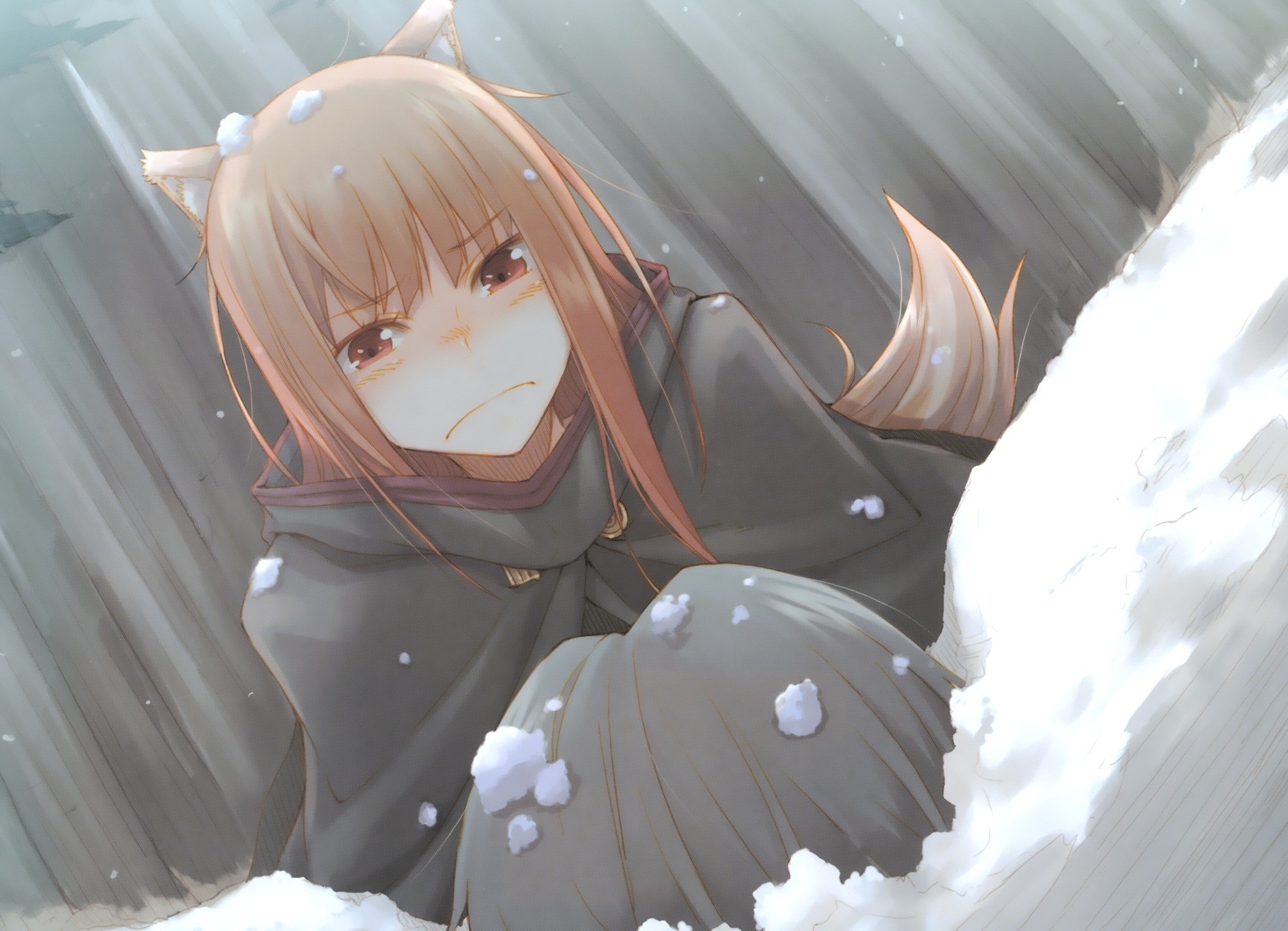 Spice and Wolf, Anime girls, Snow scenery, HD wallpapers, 2220x1600 HD Desktop