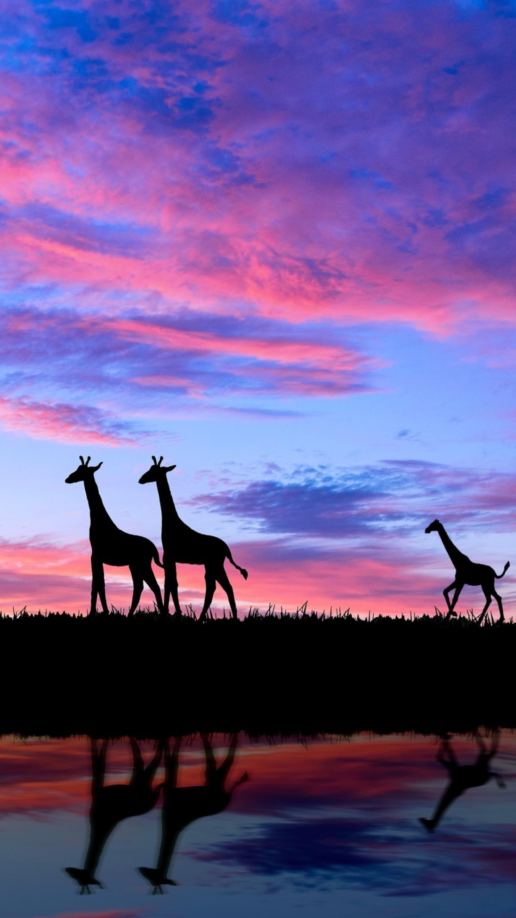 Spectacular giraffe silhouette, Evening tranquility, 4k Sony Xperia wonderland, Nature's mesmerizing beauty, 2160x3840 4K Phone