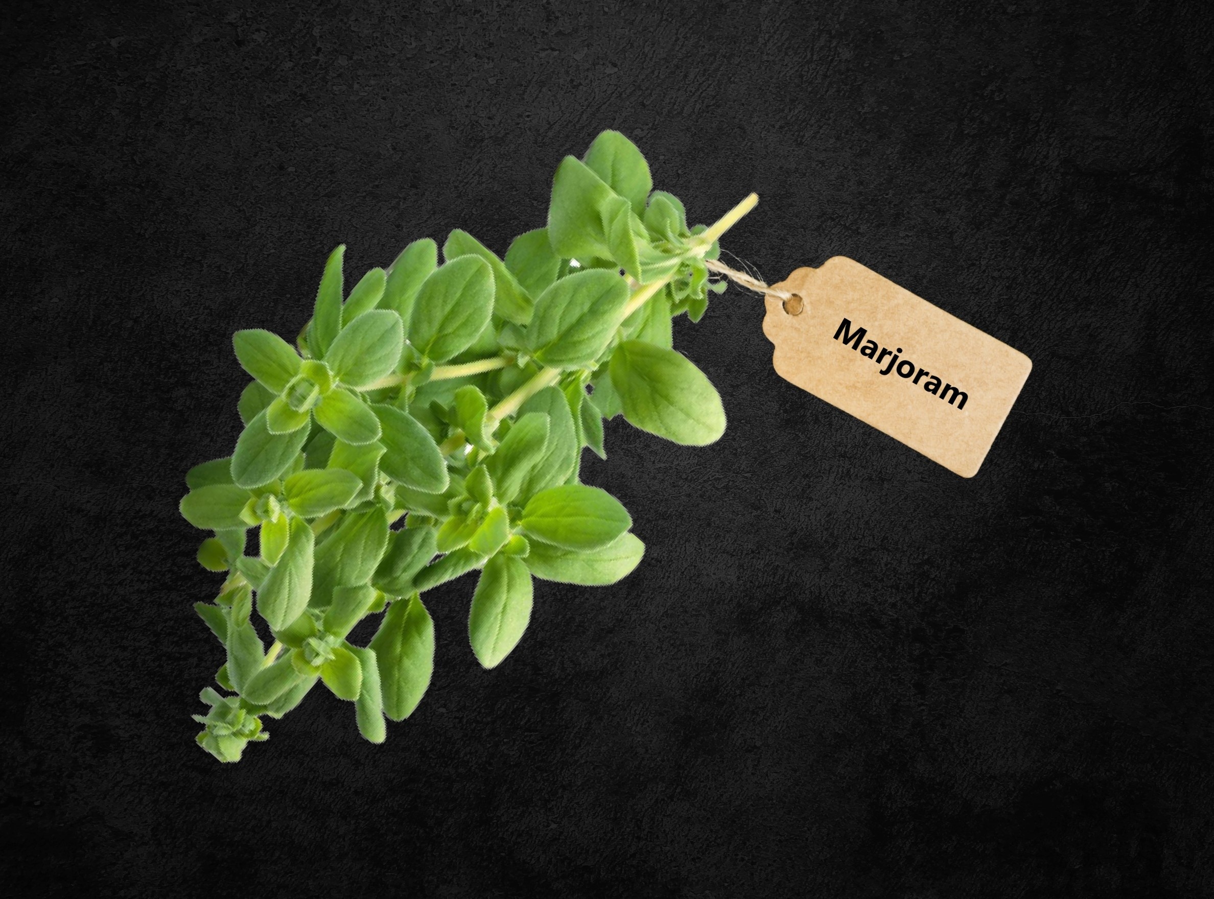 Sun life organics, Exporting herbs, Marjoram spices seeds, 2380x1760 HD Desktop