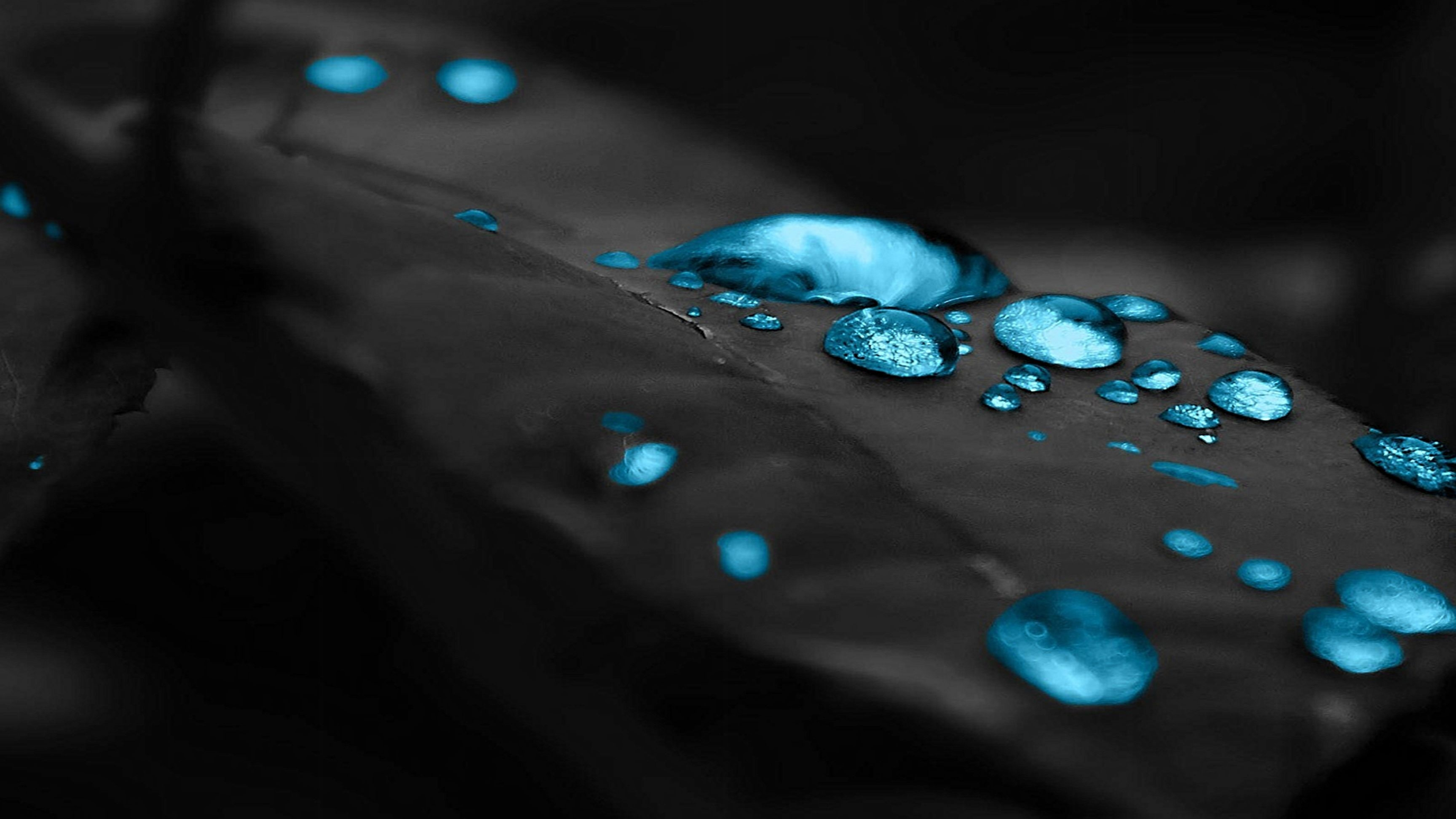 Leaf, Matte Black Wallpaper, 3840x2160 4K Desktop