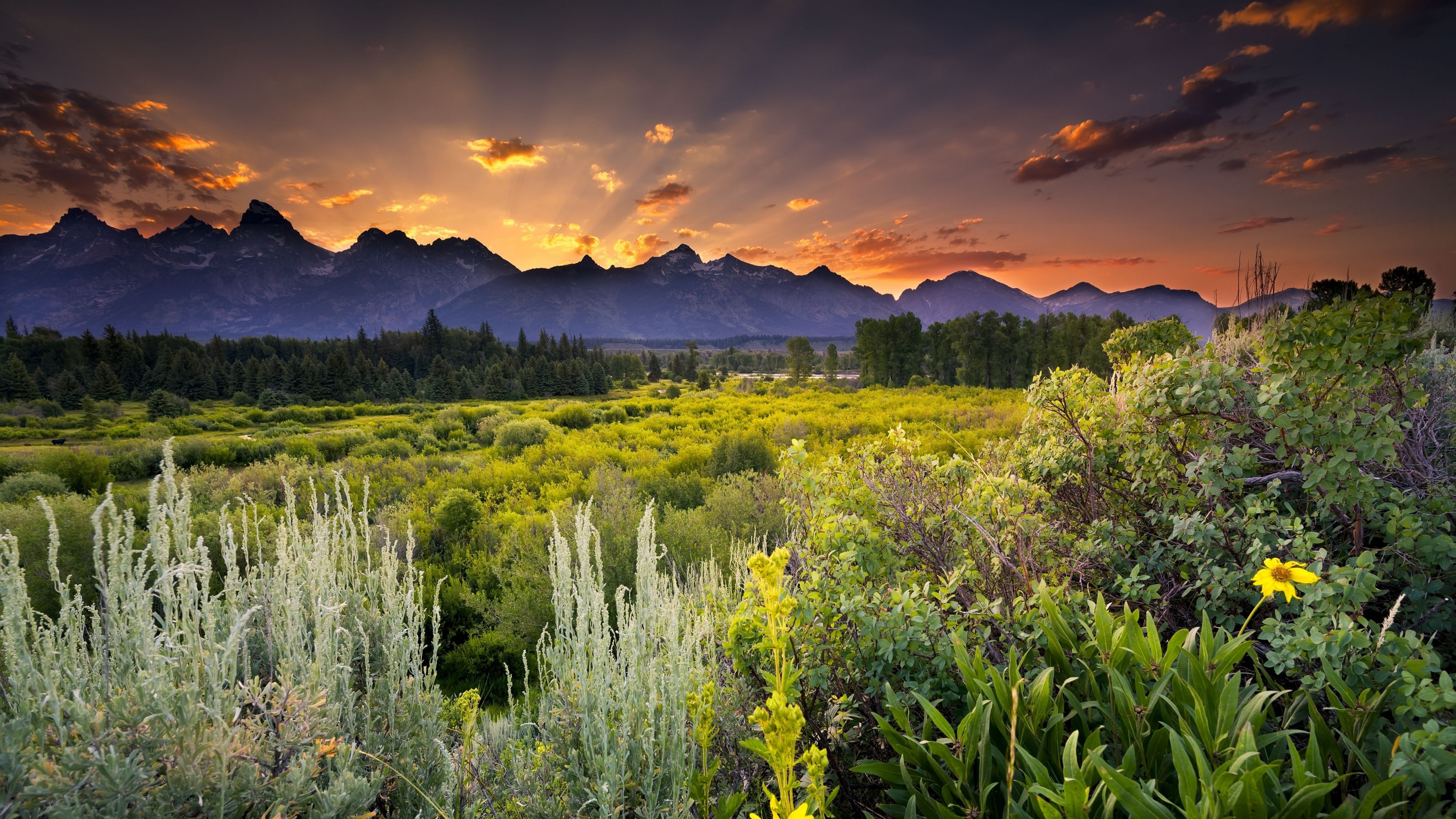 Grand Teton National Park, Scenery Wallpaper, 3840x2160 4K Desktop