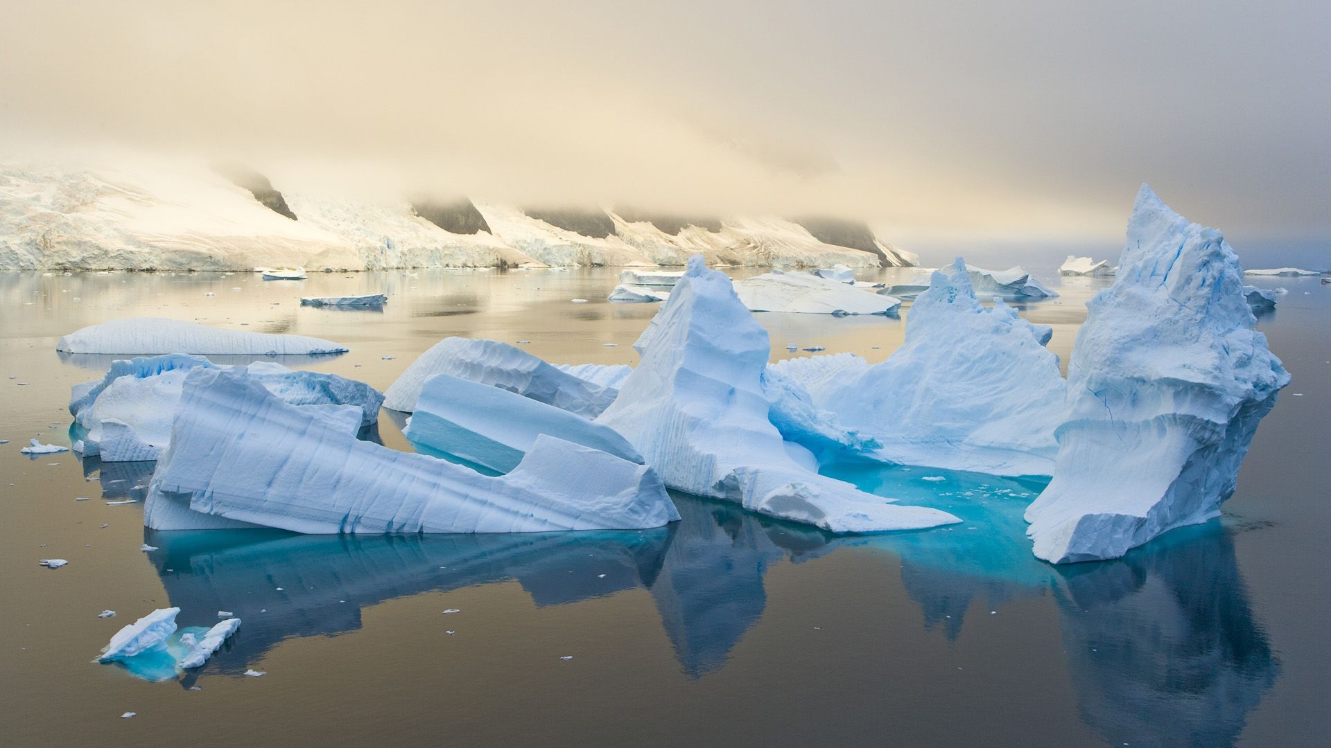 Arctic sentinels, Widescreen wallpaper, Free wallpaper, HD quality, 1920x1080 Full HD Desktop