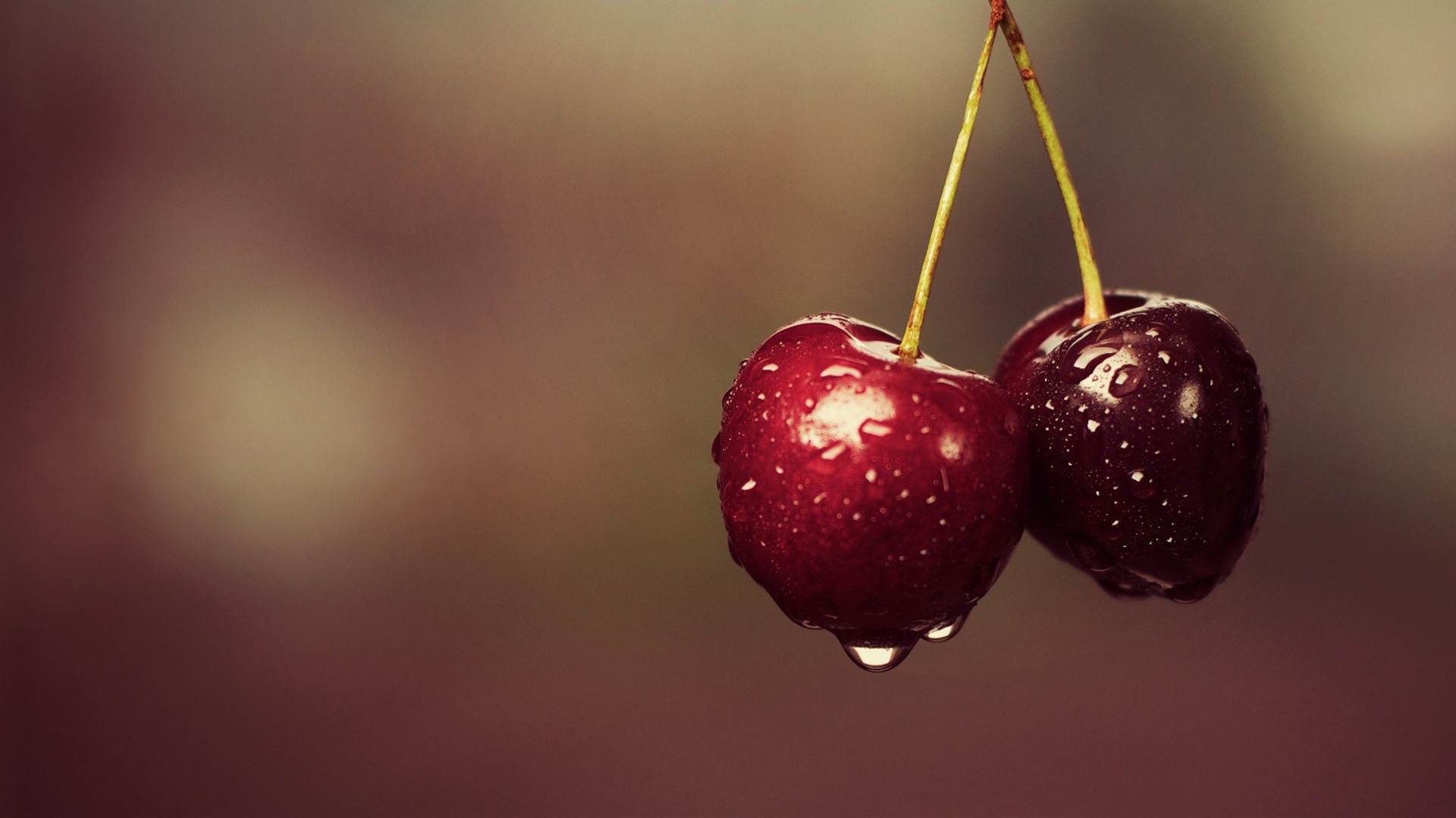 Cherry wallpaper magic, Luscious cherry delight, Charming cherry visuals, Captivating wallpaper creation, 1920x1080 Full HD Desktop