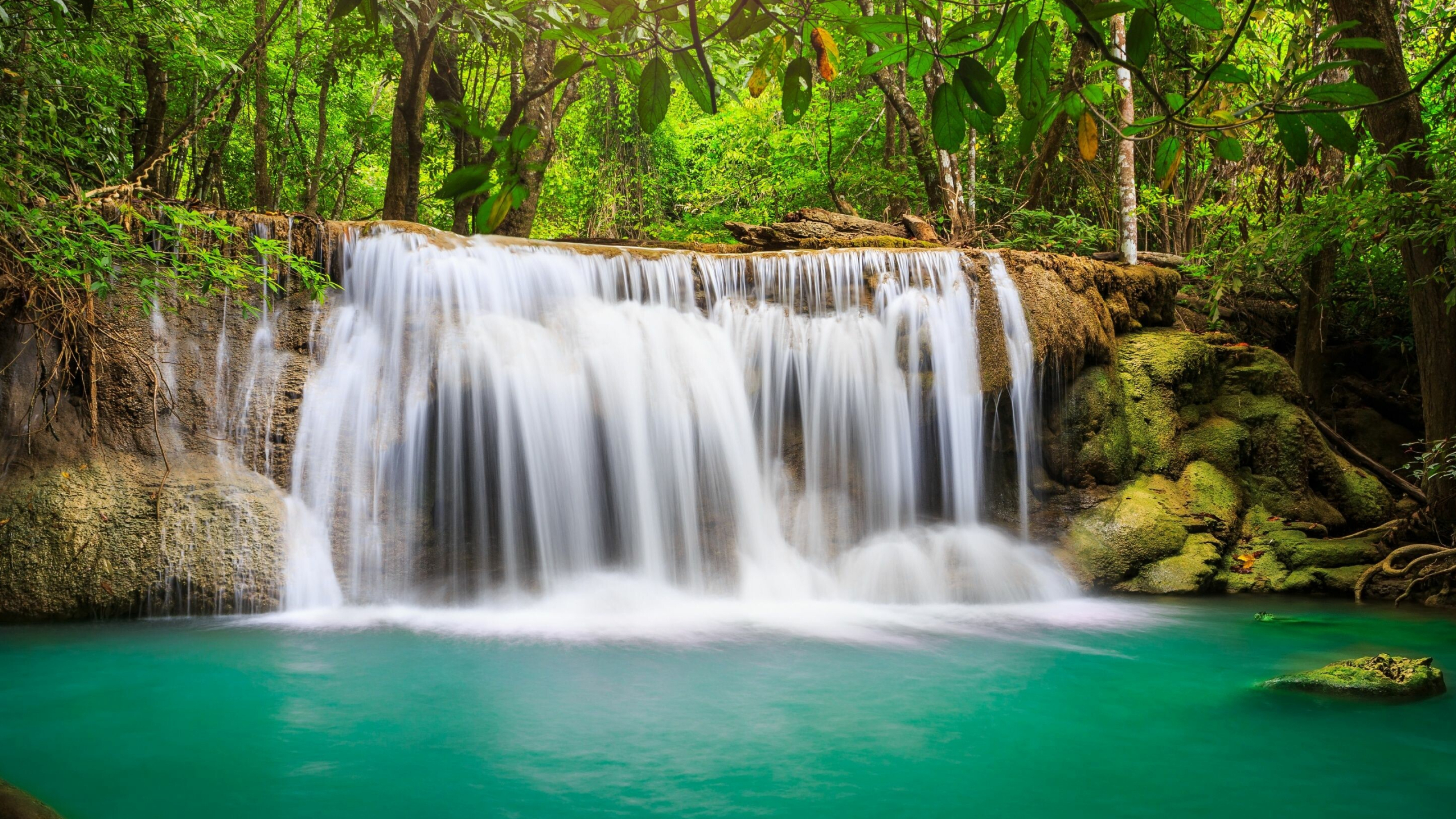 Rainforest waterfall, Nature's serenity, Tranquil beauty, Water's symphony, 3560x2000 HD Desktop