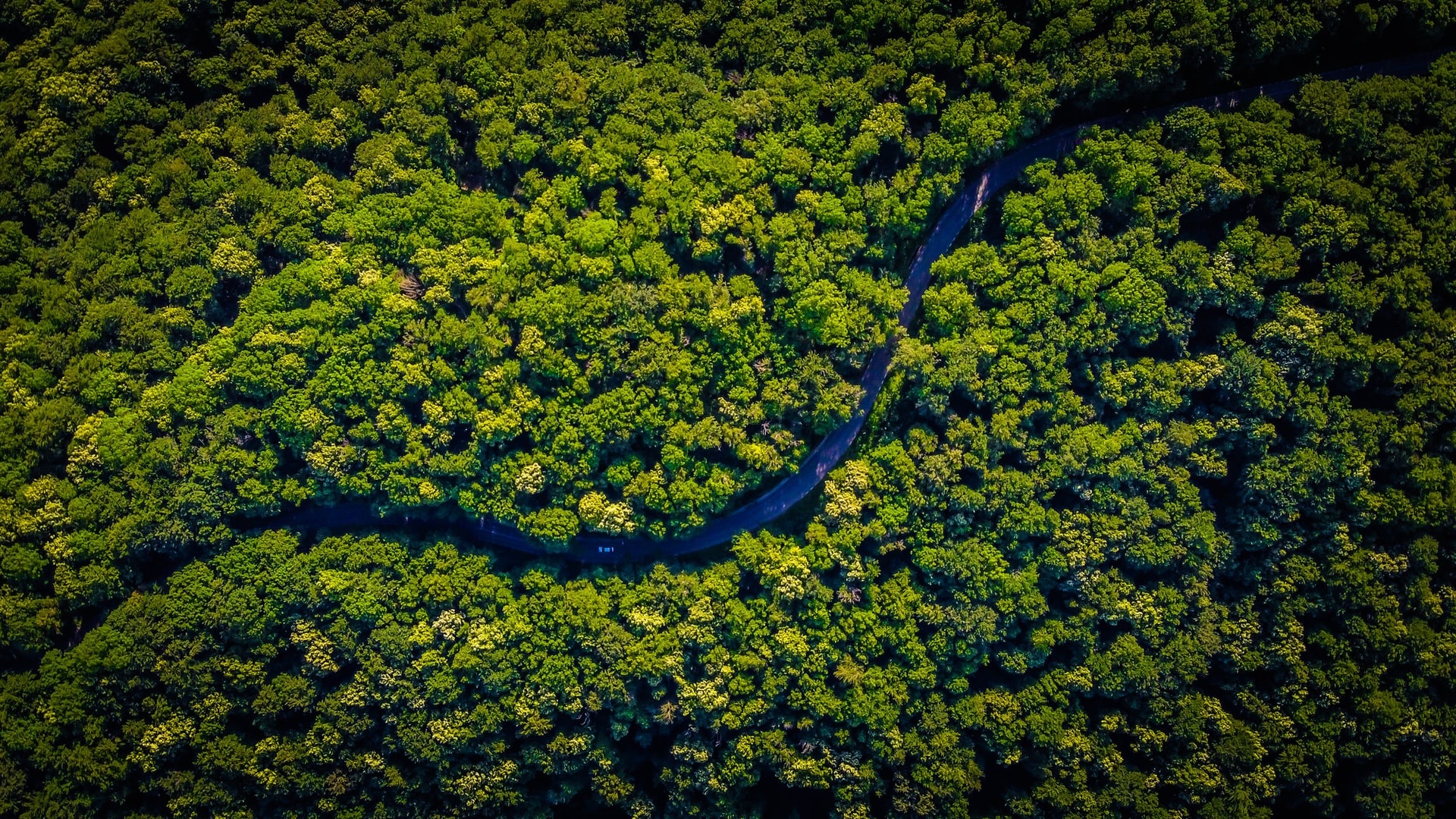 Congolese travels, Bume archive, Lebensraum permakultur, Democratic Republic, 1920x1080 Full HD Desktop