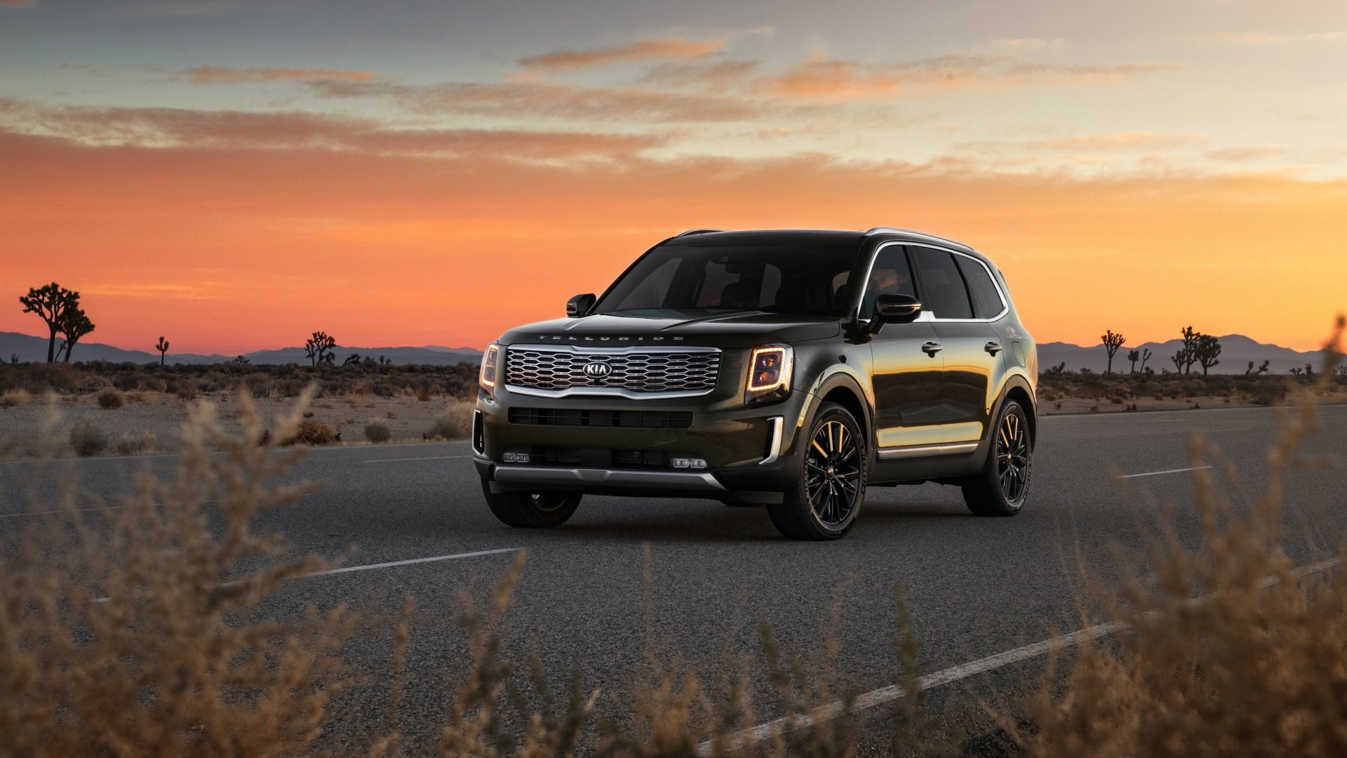 Kia Telluride, SUV, High-definition wallpapers, Beautiful backgrounds, 1920x1080 Full HD Desktop