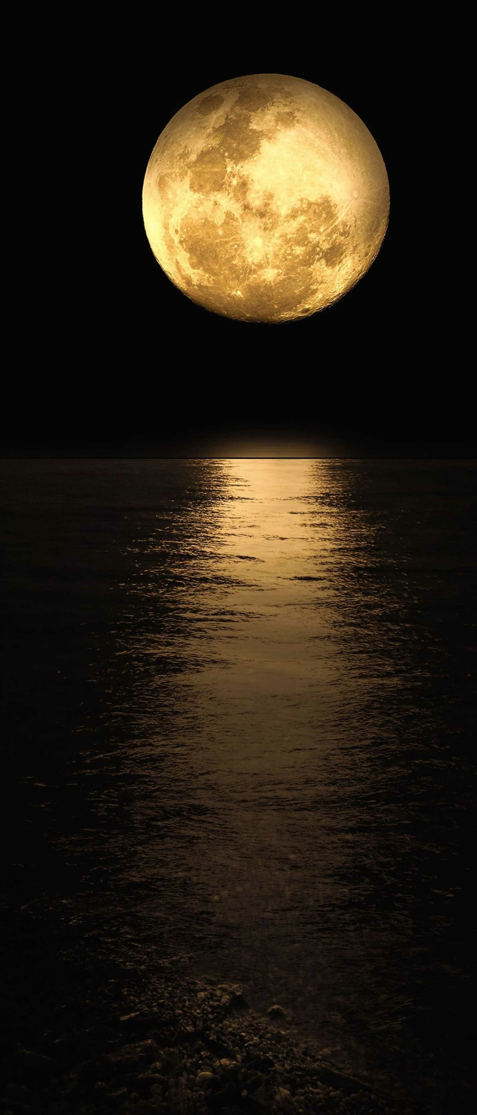 Moonlight, Moon Wallpaper, 1650x3840 HD Phone