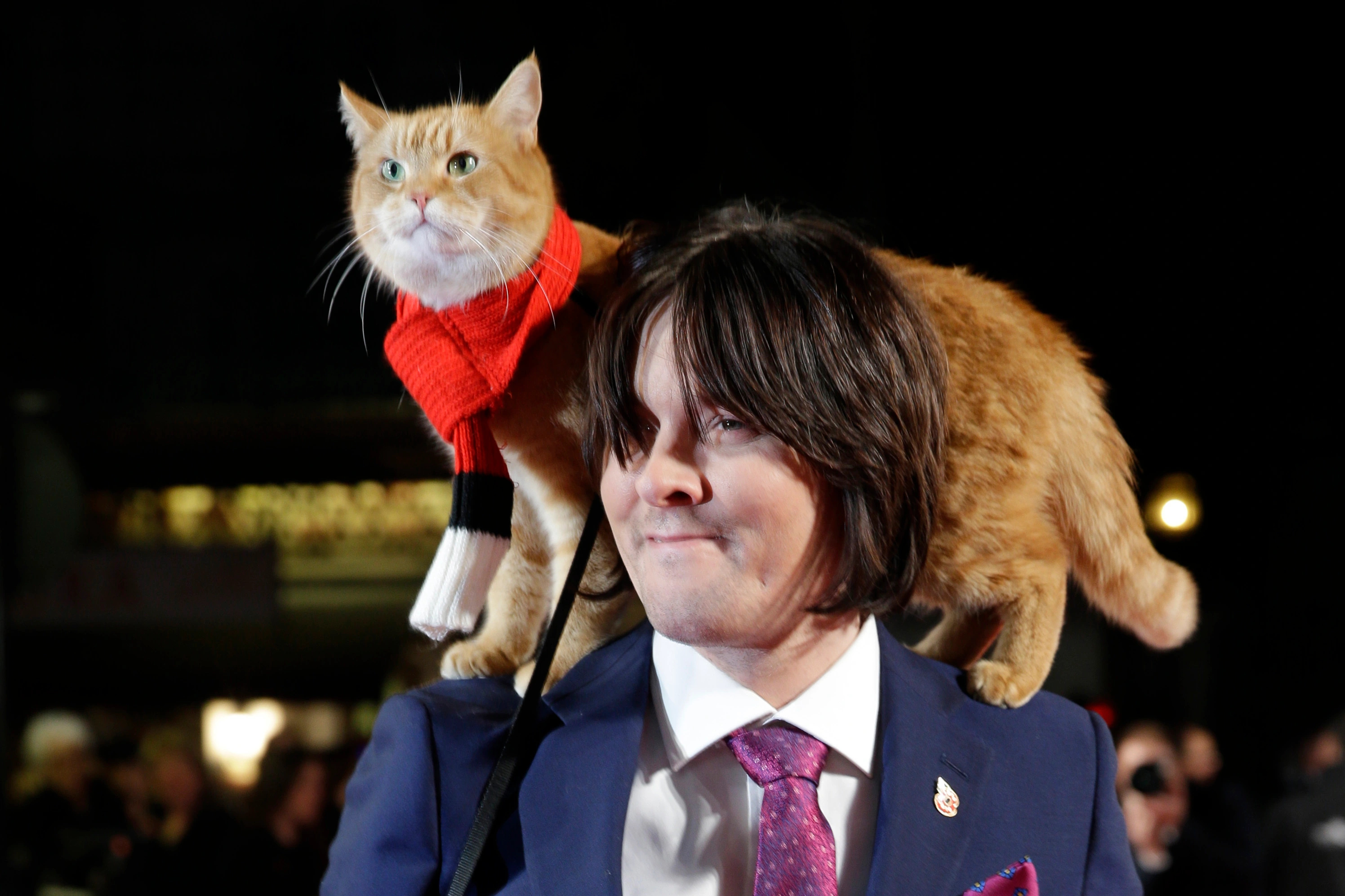 Street Cat Bob, Car accident, Best friend, Owner, 3000x2000 HD Desktop