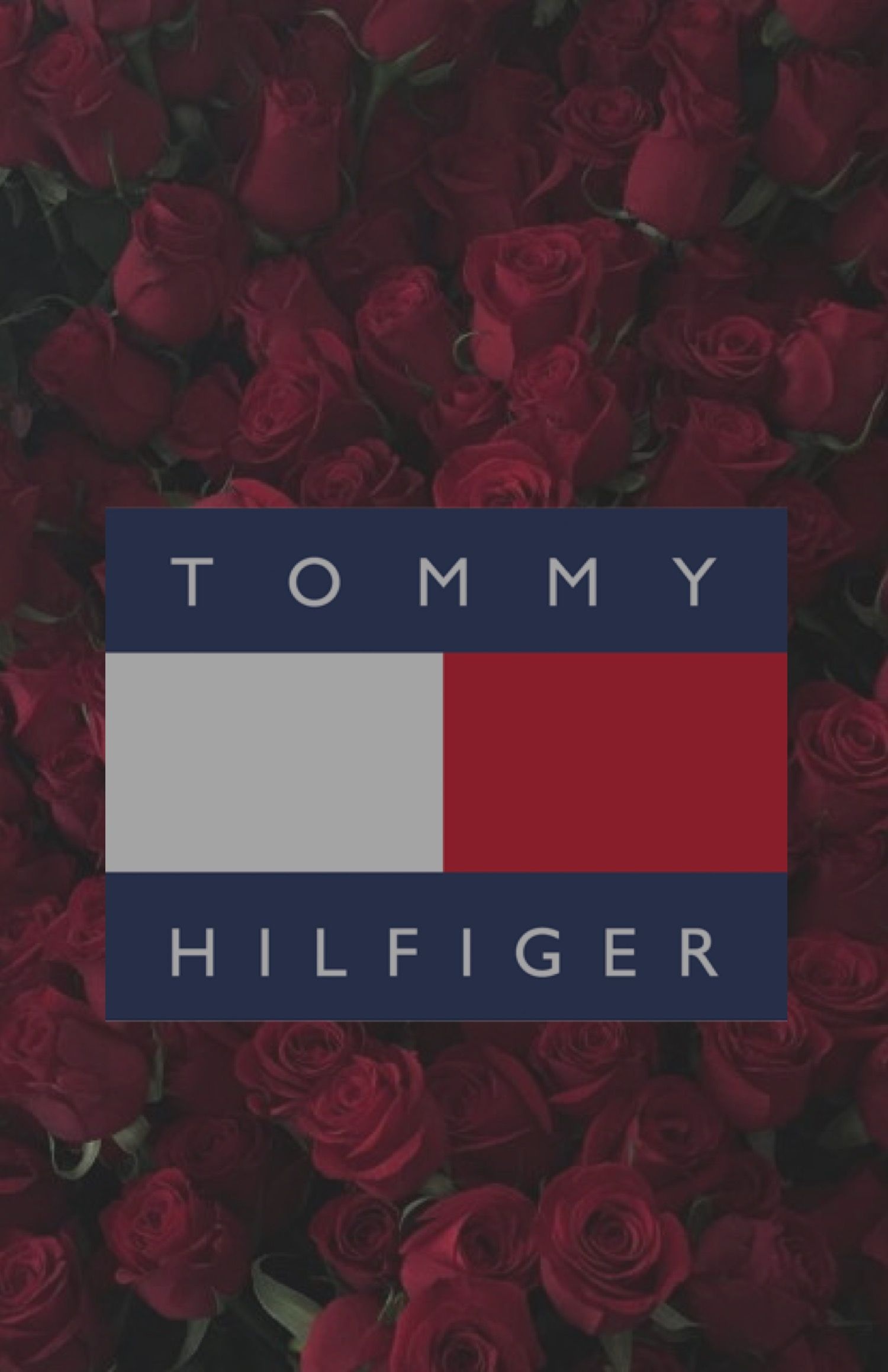 Tommy Hilfiger, Rose background, Tumblr lockscreen, Hypebeast fashion, 1500x2320 HD Phone