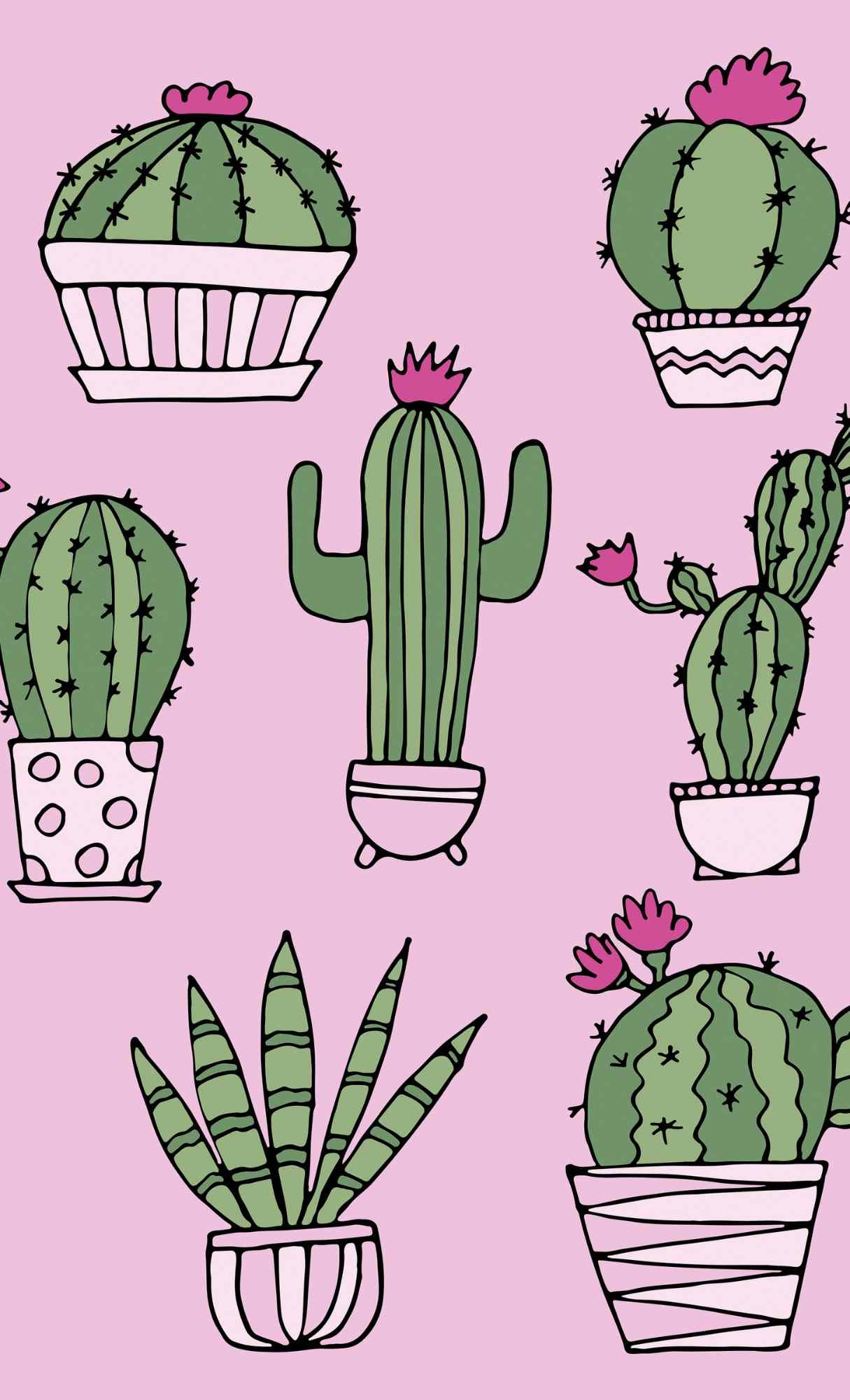 Cactuses, Cute iPhone Backgrounds Wallpaper, 1220x2000 HD Phone