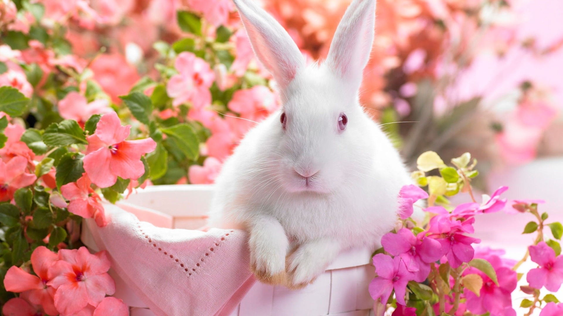 Springtime hare, Whimsical artwork, Nature-inspired wallpaper, Kde store, 1920x1080 Full HD Desktop