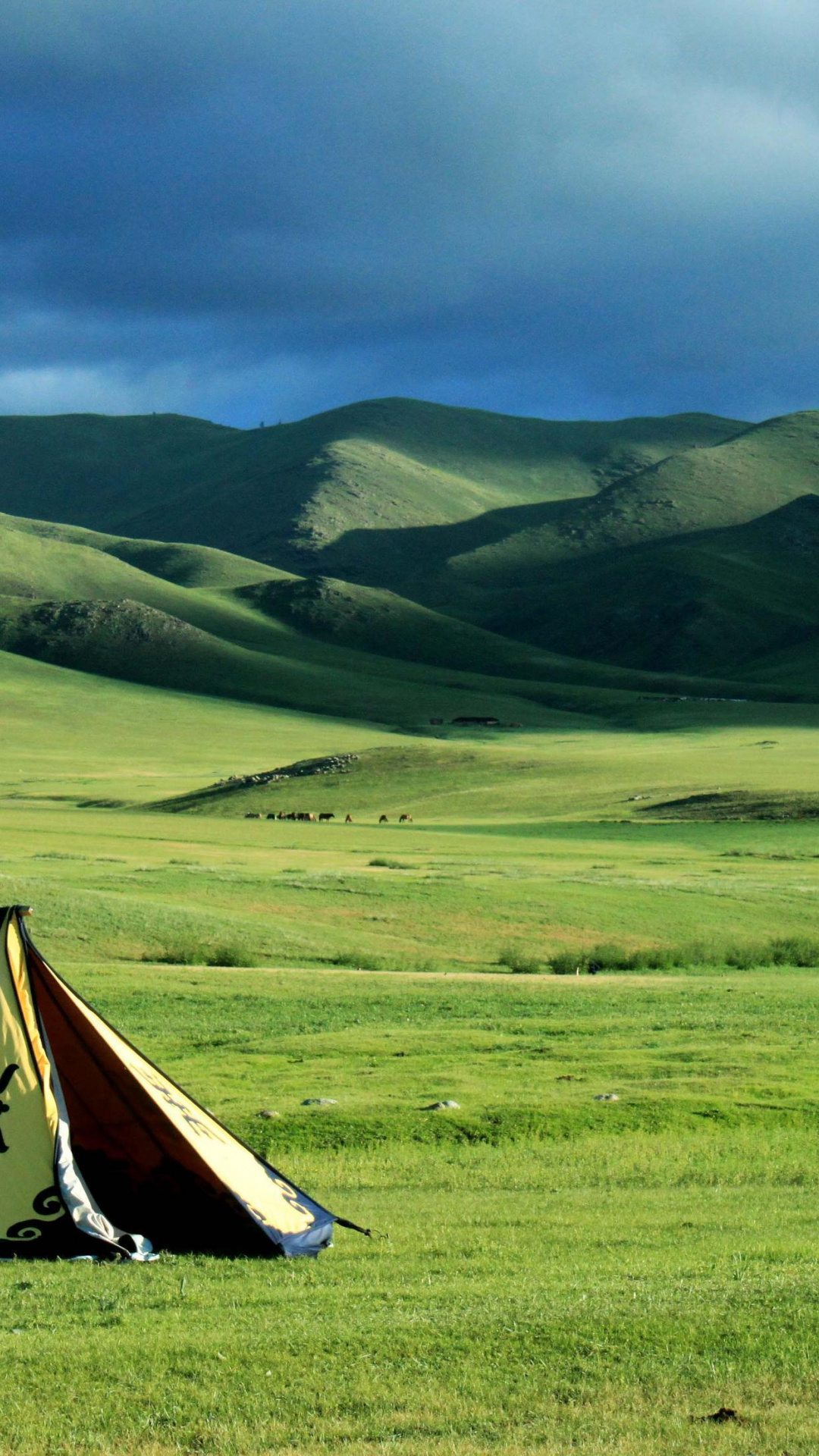 Free download Mongolia wallpapers, Desktop mobile tablet, Explore Mongolia, Beautiful images, 1080x1920 Full HD Phone