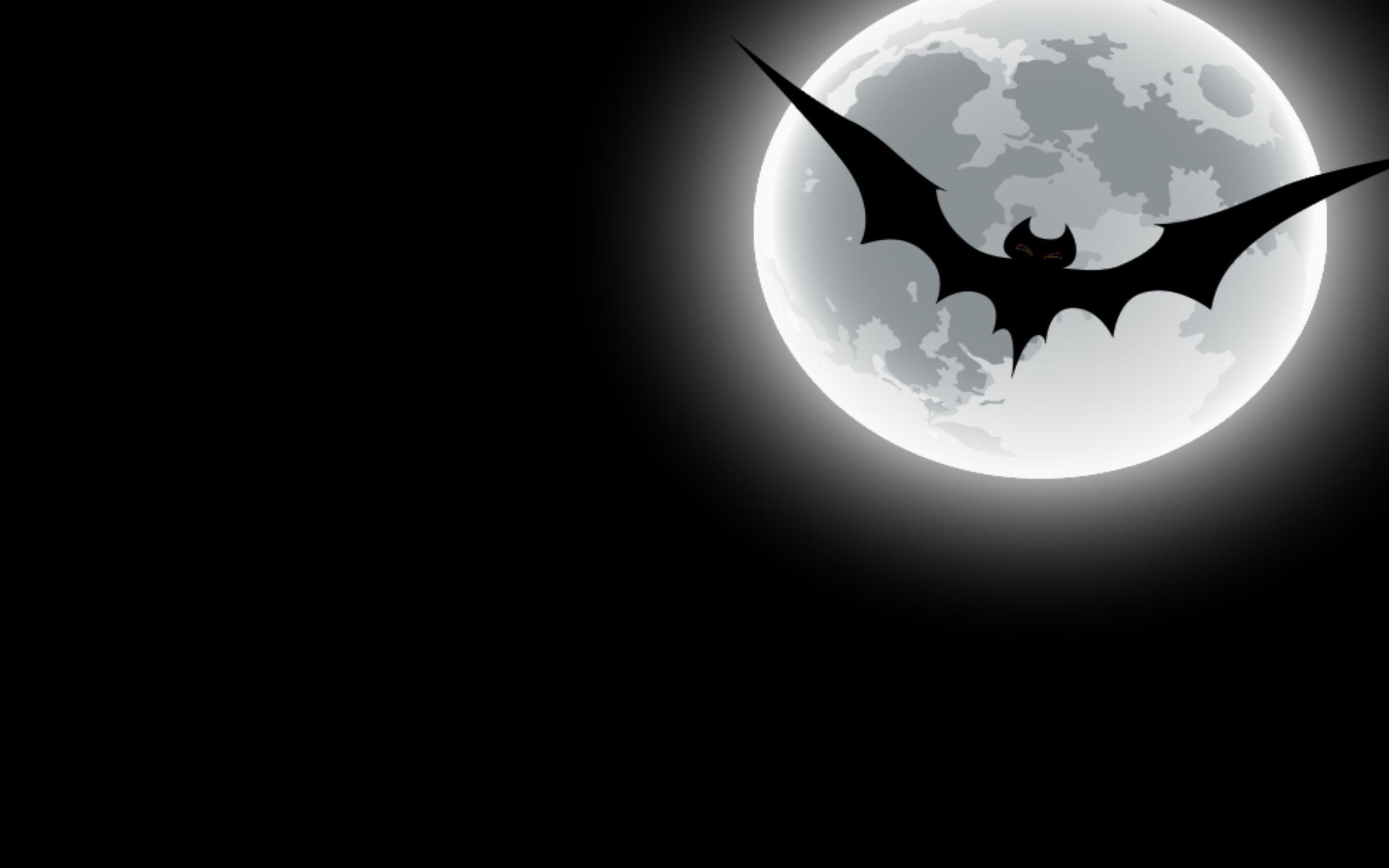 Bat wallpapers, Top quality, Stunning visuals, Captivating designs, 2560x1600 HD Desktop