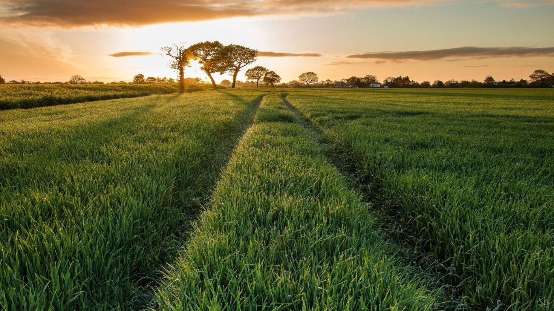 Path in the grass, Nature wallpapers, Peaceful walkway, Tranquil scenery, 1920x1080 Full HD Desktop