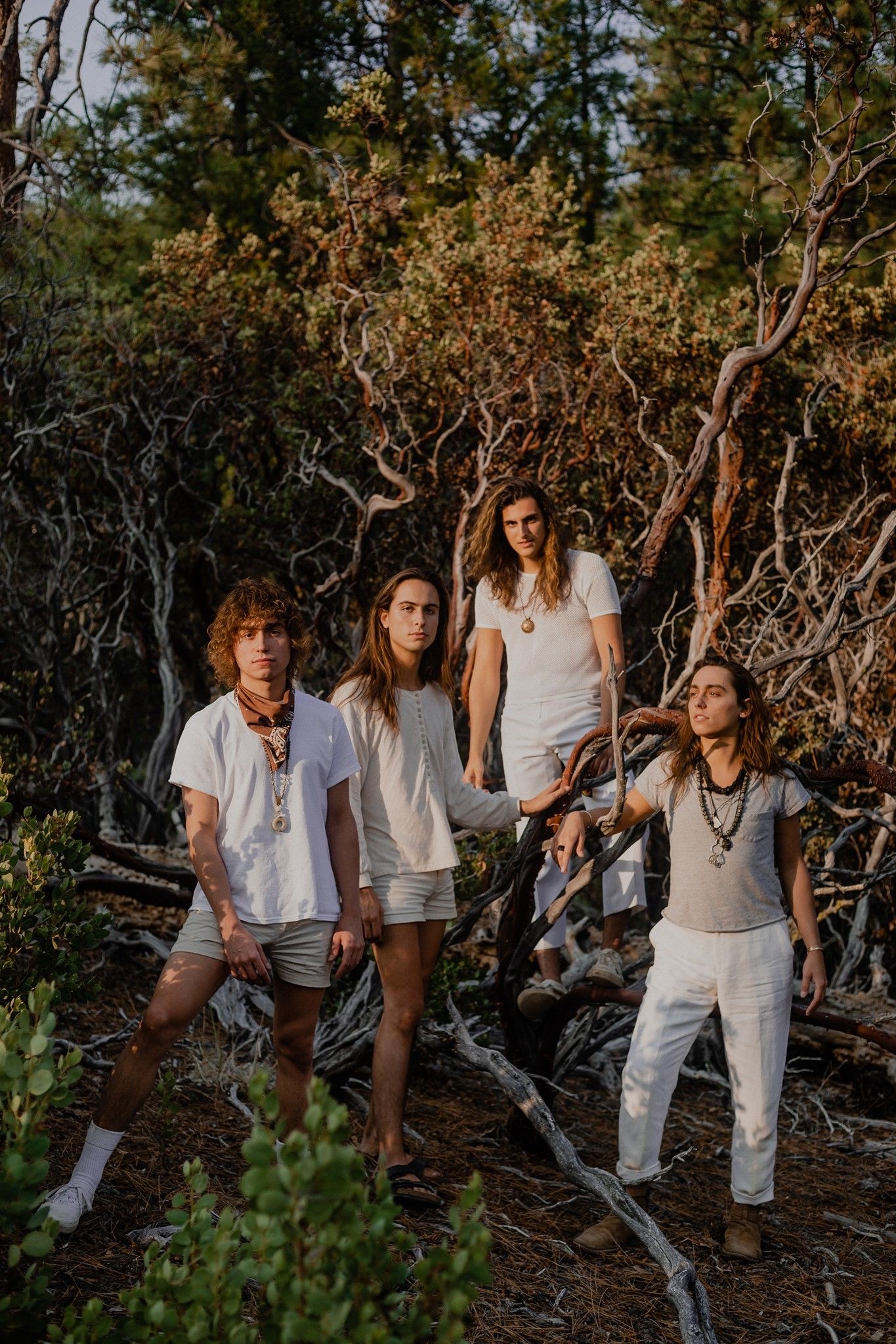 Greta Van Fleet, Band interview, Music magazine feature, Rock music, 1370x2050 HD Phone
