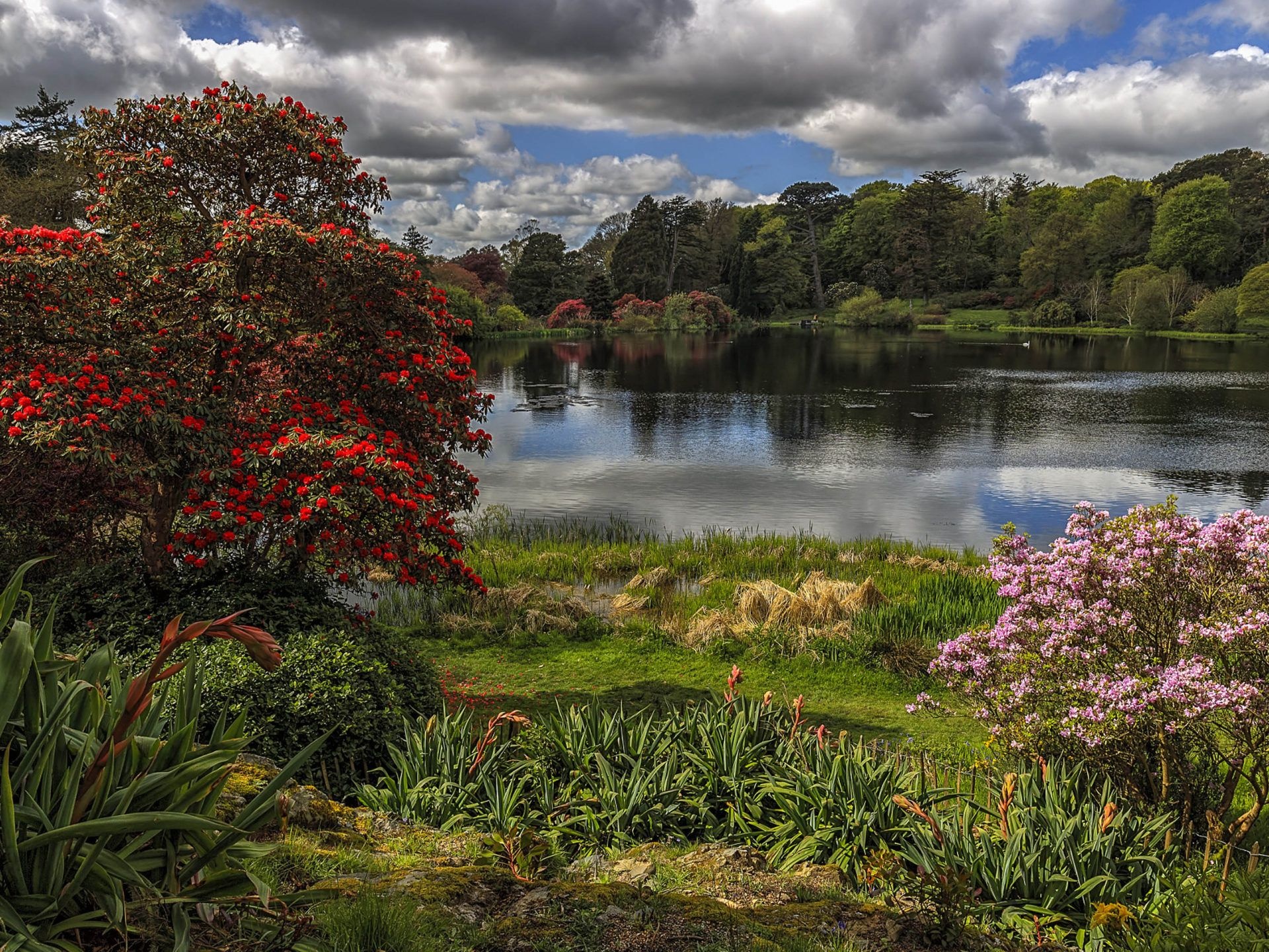 Mount Stewart Lake, Irish Countryside Wallpaper, 1920x1440 HD Desktop