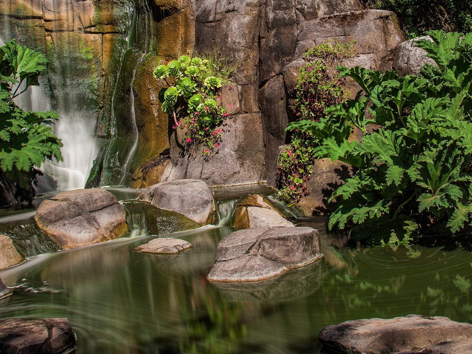 Golden Gate Park, Strawberry hill, California, Big city park, 1920x1440 HD Desktop