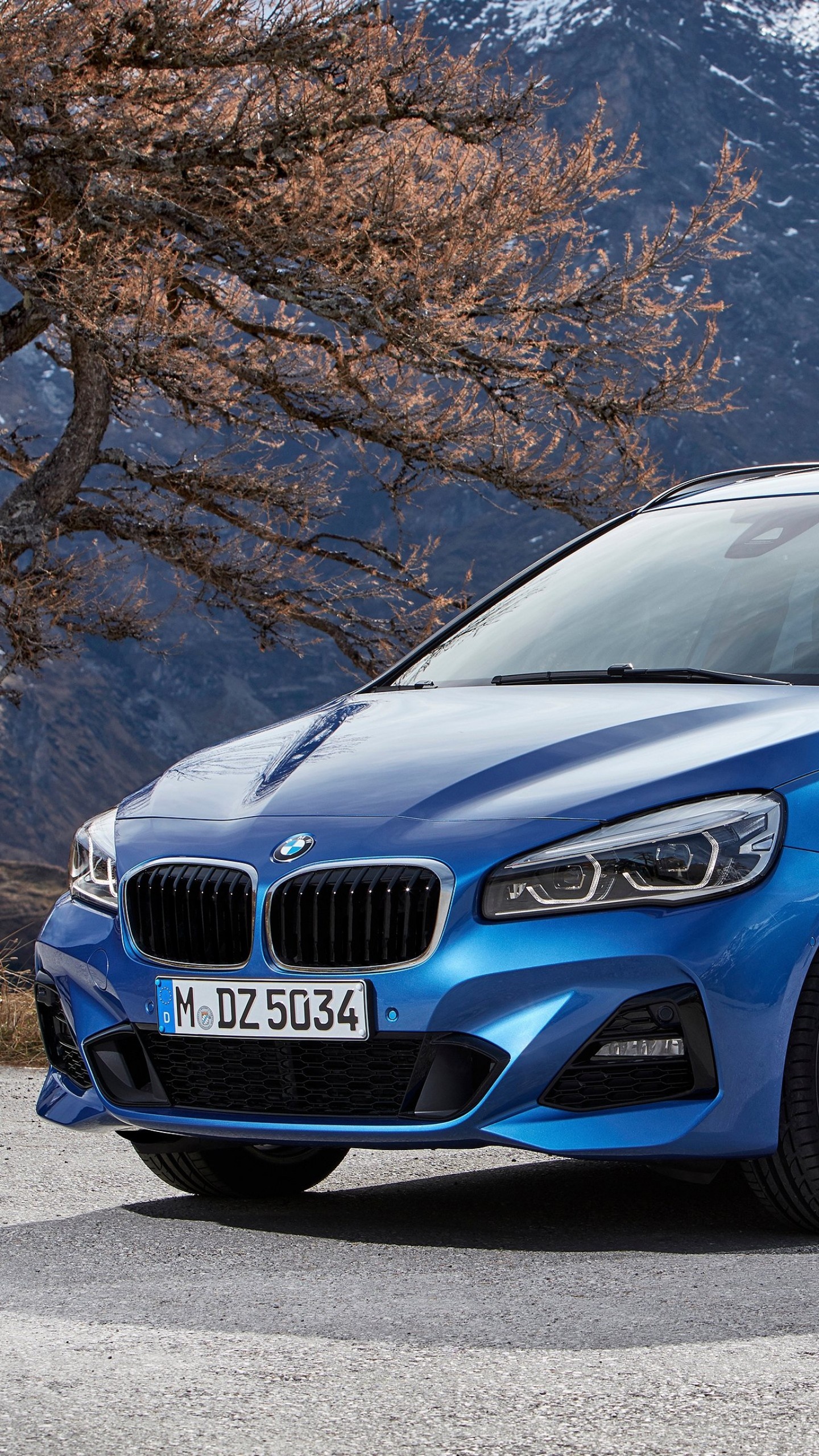 BMW, Gran Tourer, Automotive Expertise, German Quality, Dynamic Model, 1440x2560 HD Phone
