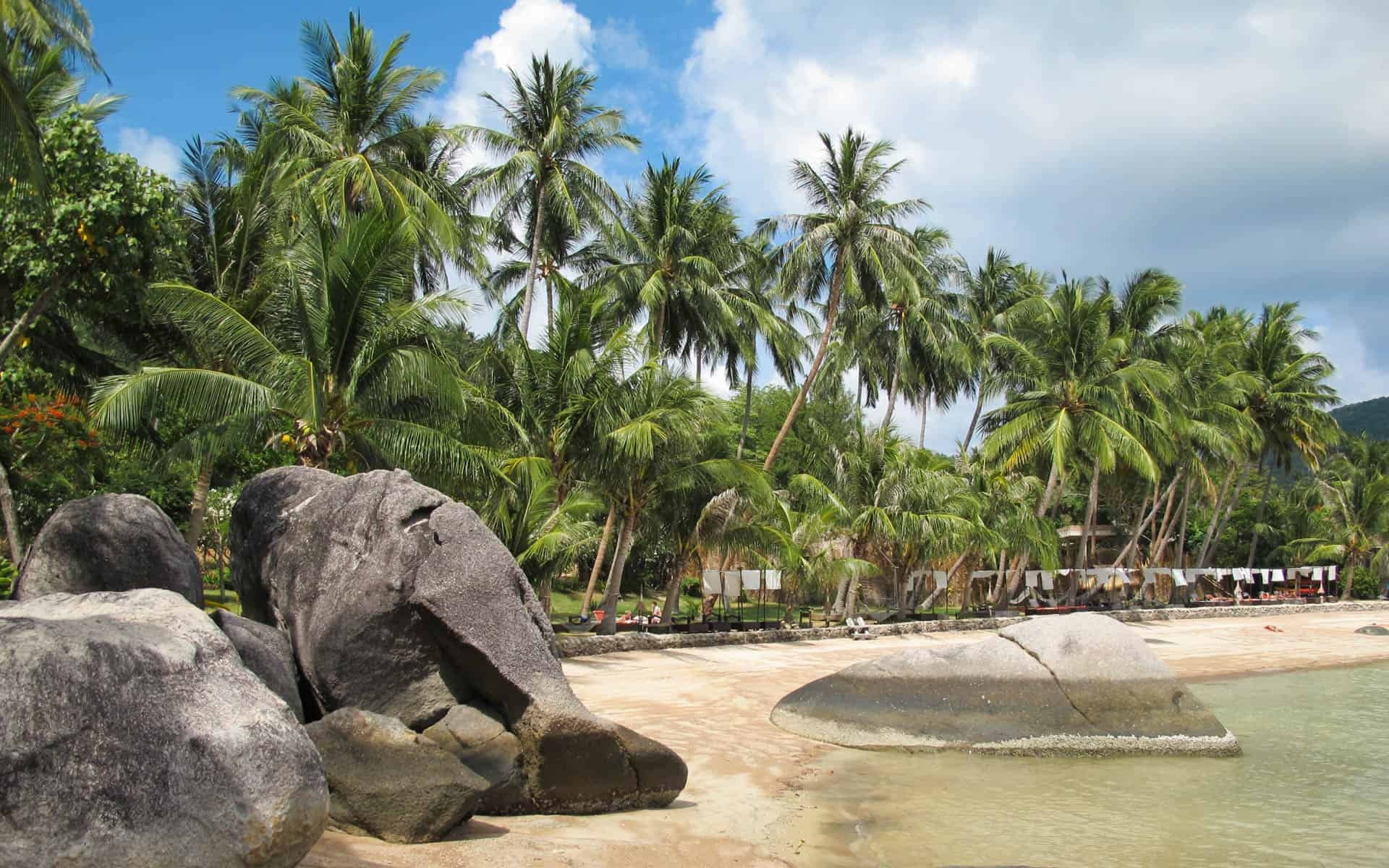 Koh Tao beaches, Ultimate guide, Tropical paradise, White sand shores, 1920x1200 HD Desktop