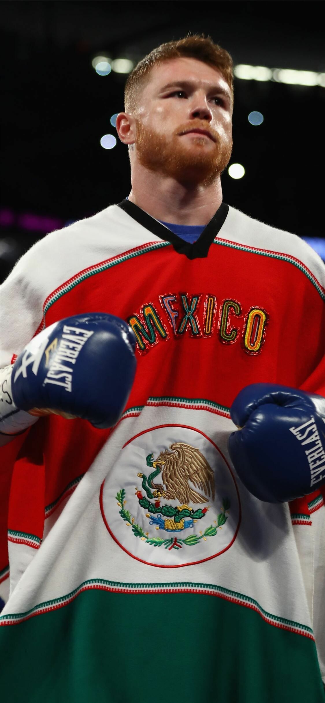 Saul Alvarez, Boxing history, Mexican fighter, 1130x2440 HD Phone