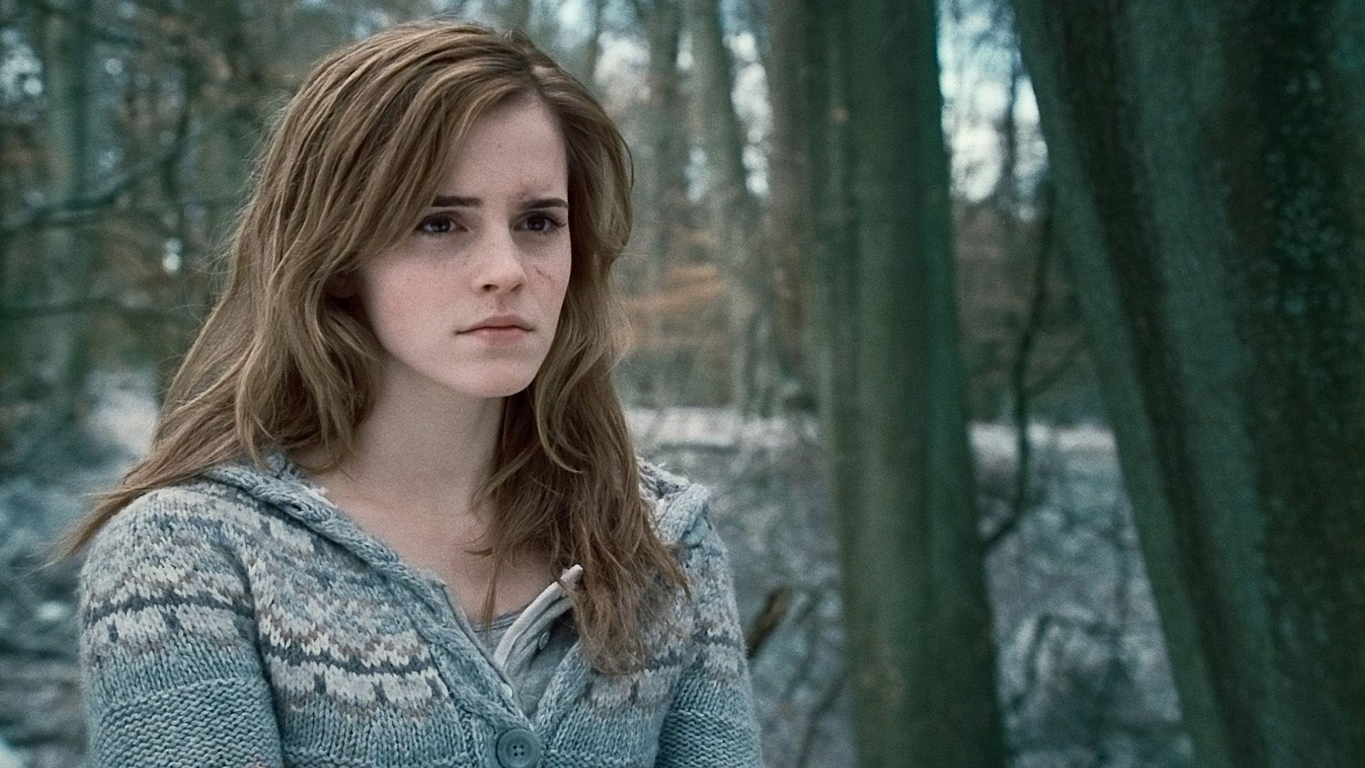 Harry Potter and the Deathly Hallows: Part 1, Hermione Wallpaper, 1920x1080 Full HD Desktop