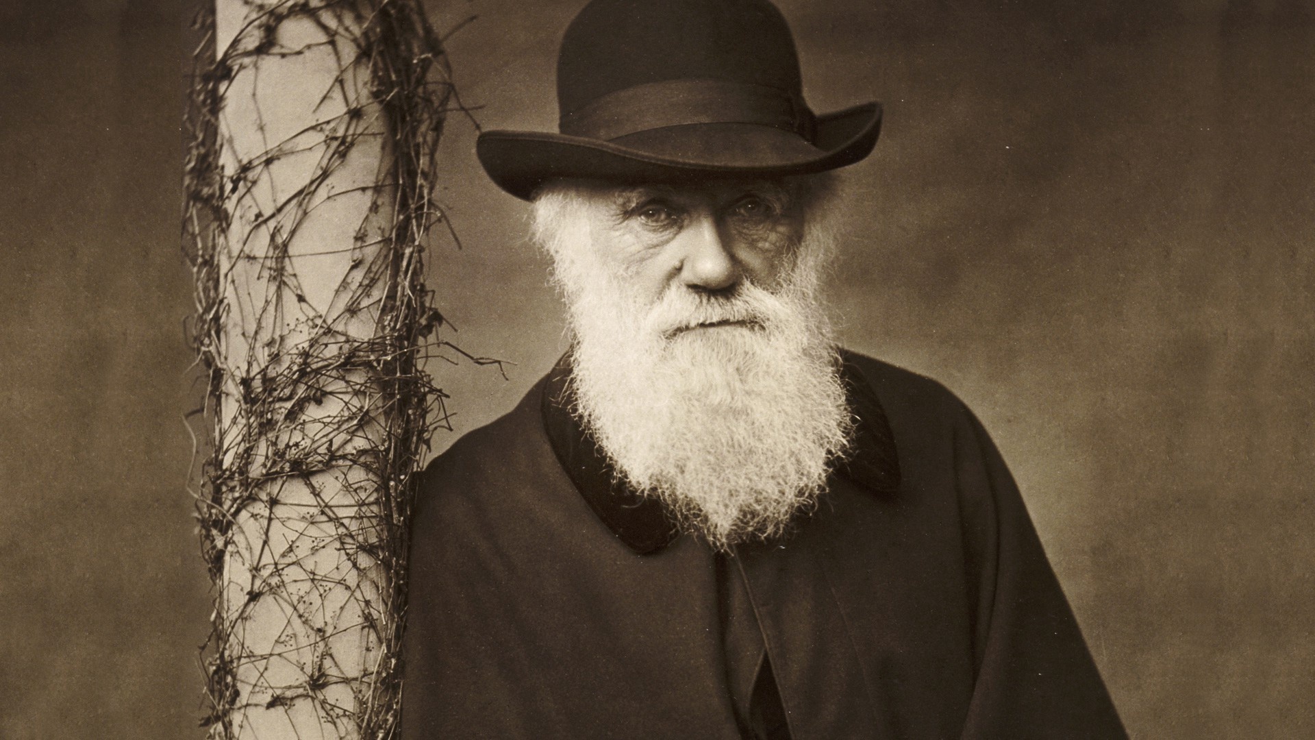 Charles Darwin, Wallpaper, Desktop, HD, 1920x1080 Full HD Desktop