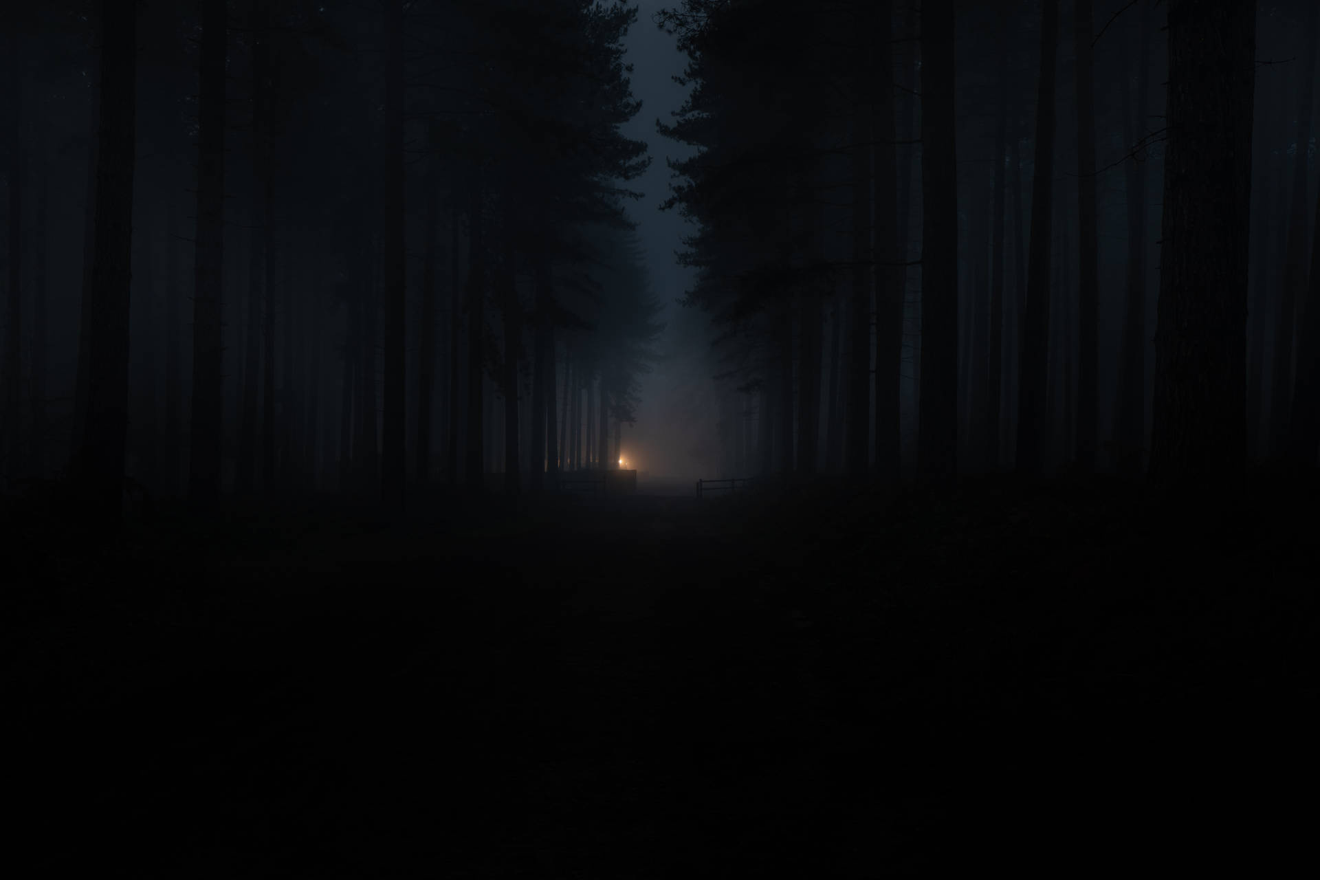 distant glowing warm light, foggy pine tree path, dark silhouette wooden gate, HD Desktop wallpaper
