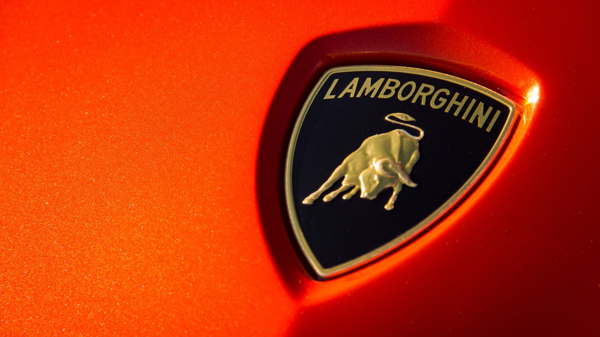 Body, Lamborghini Logo Wallpaper, 1920x1080 Full HD Desktop