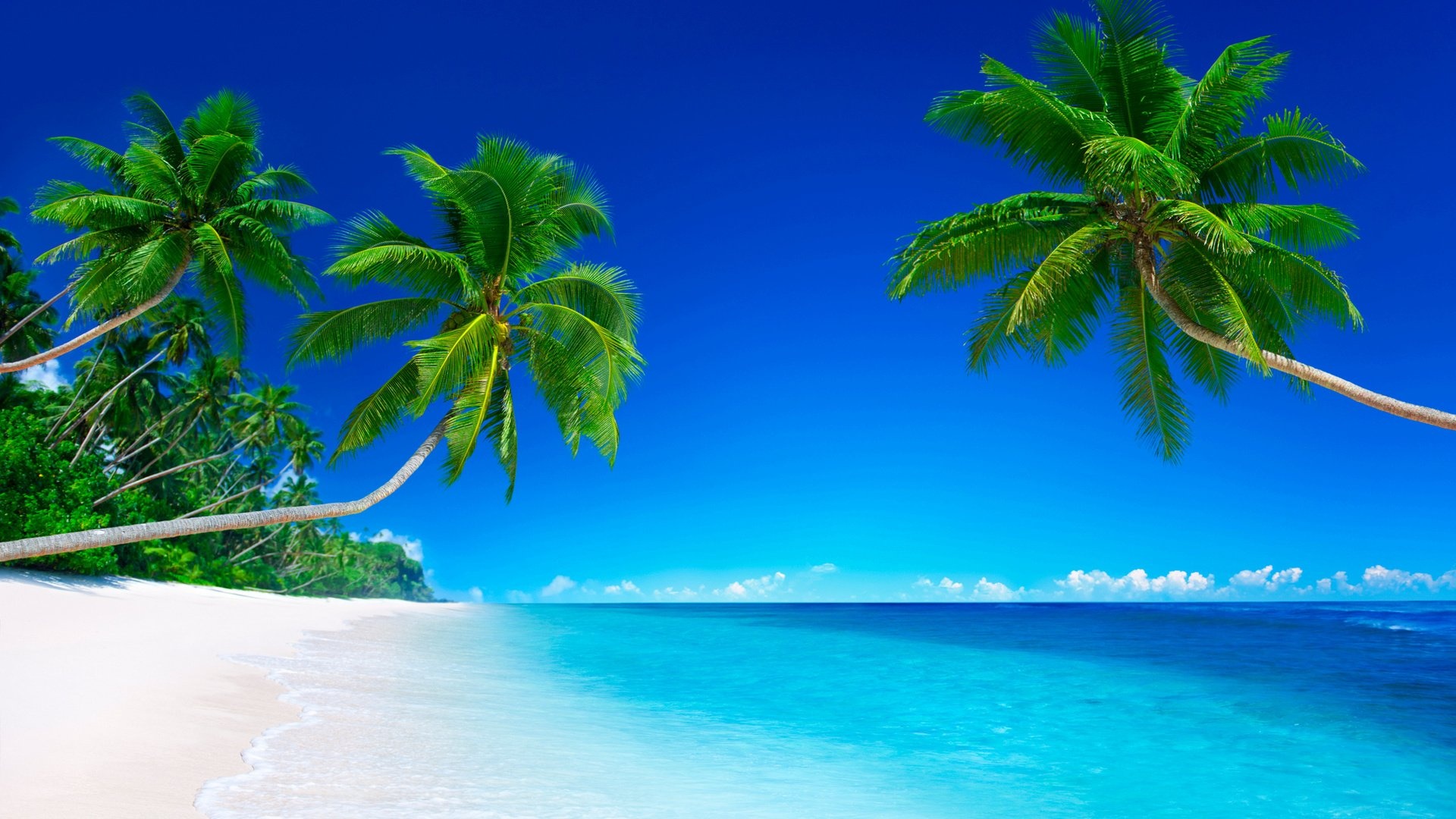 Arching coconut palm trees, White sand tropical beach, Turquoise ocean water, Full HD Desktop wallpaper