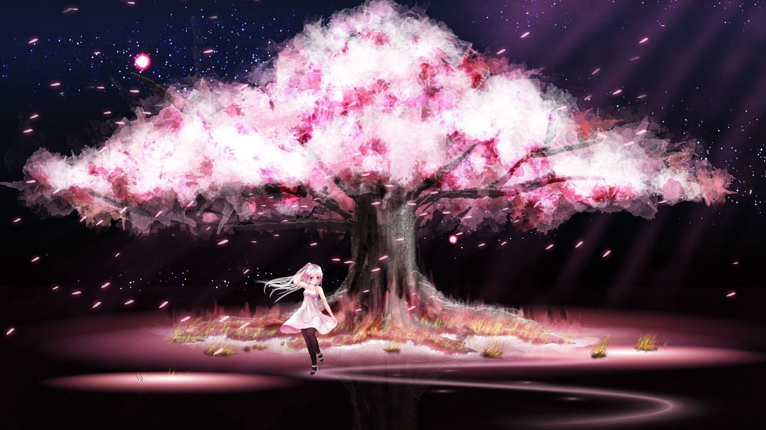 Blooming sakura tree, Silver haired anime girl, Falling cherry blossom petals, HD Desktop wallpaper